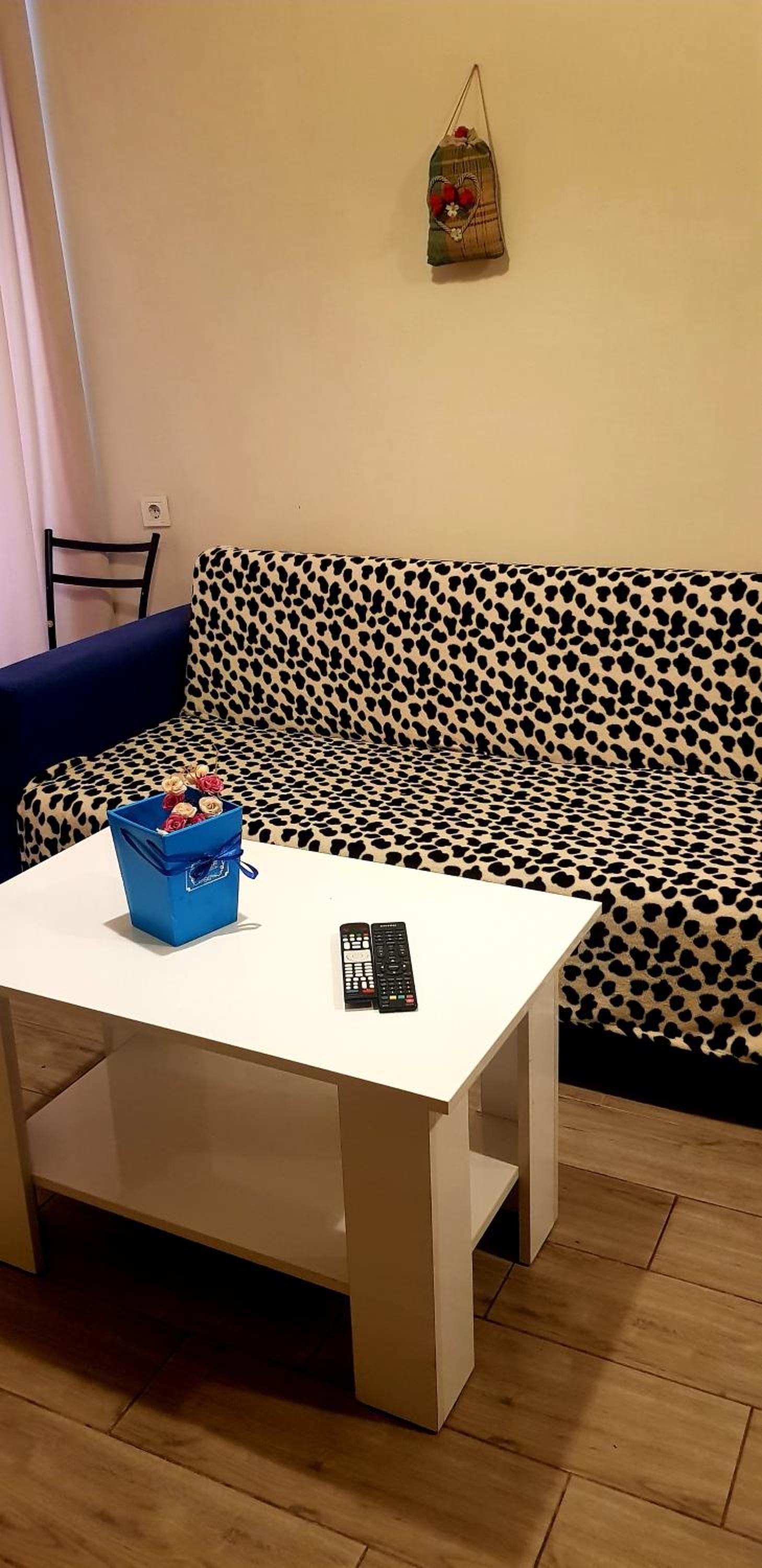 Tamunas apartment view 4
