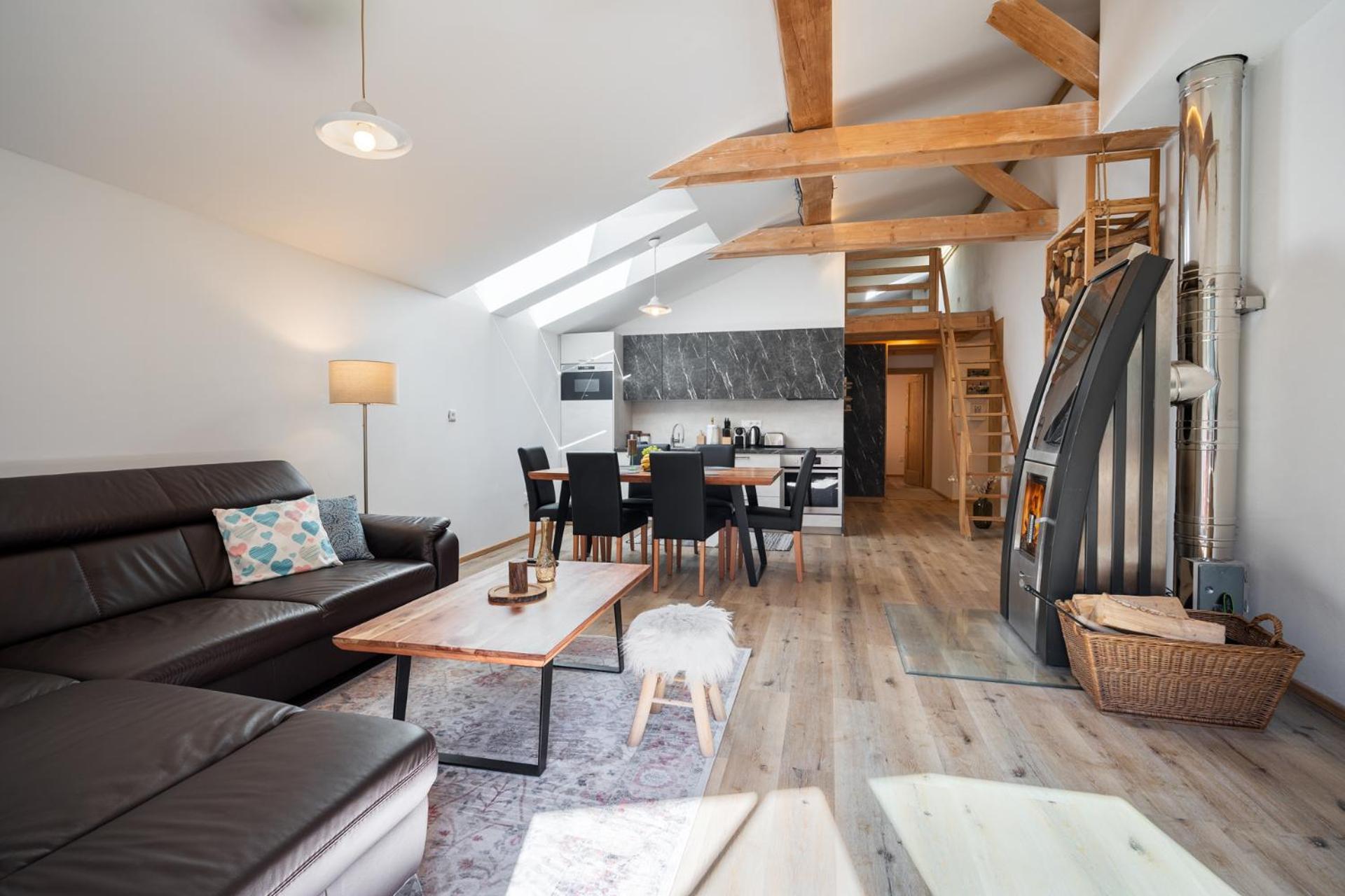 Apartments Srdiecko-Ski Chopok Jasna-Sauna in Smaller apt-Highest in Central Europe-fireplace view 5