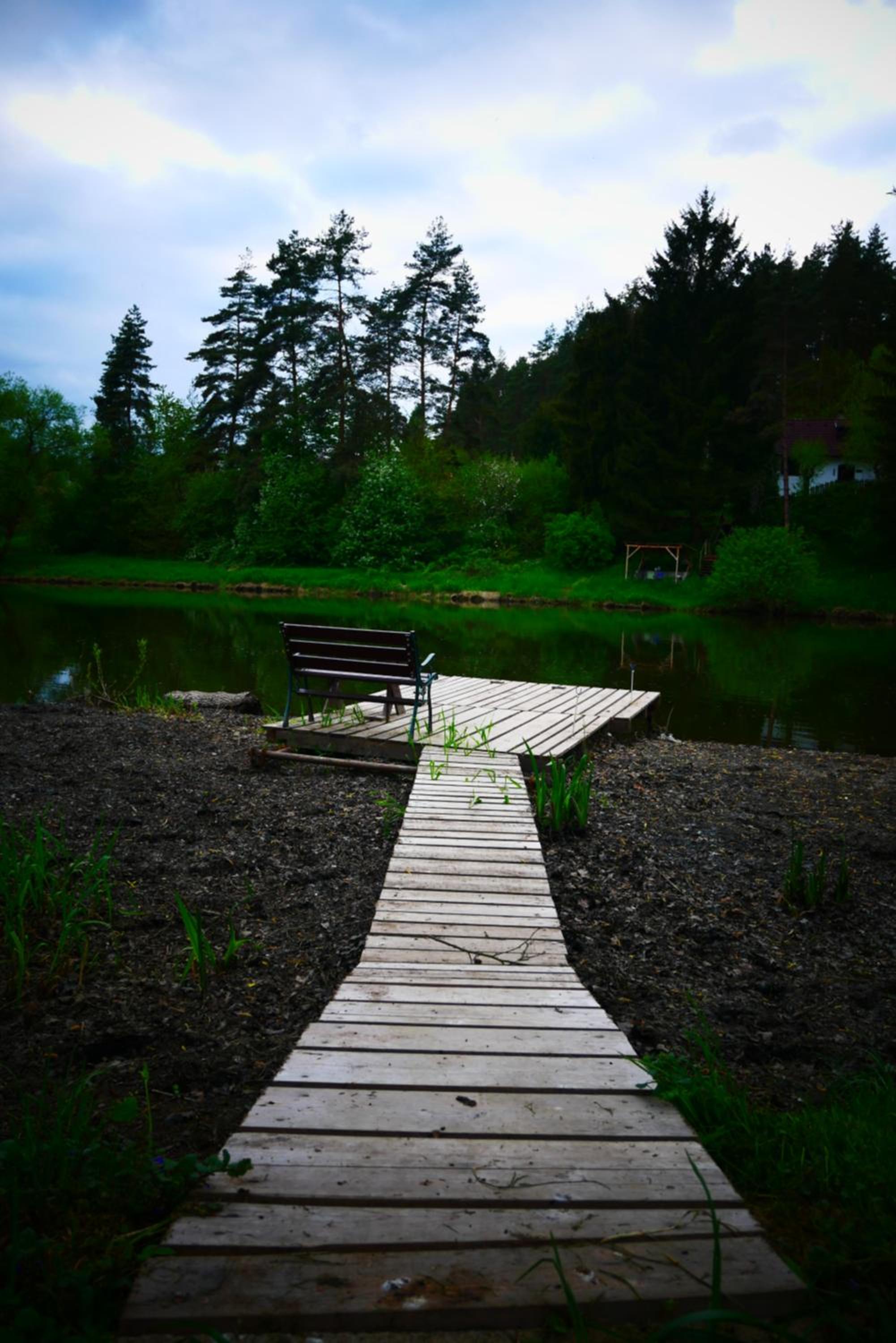 Photo 46
