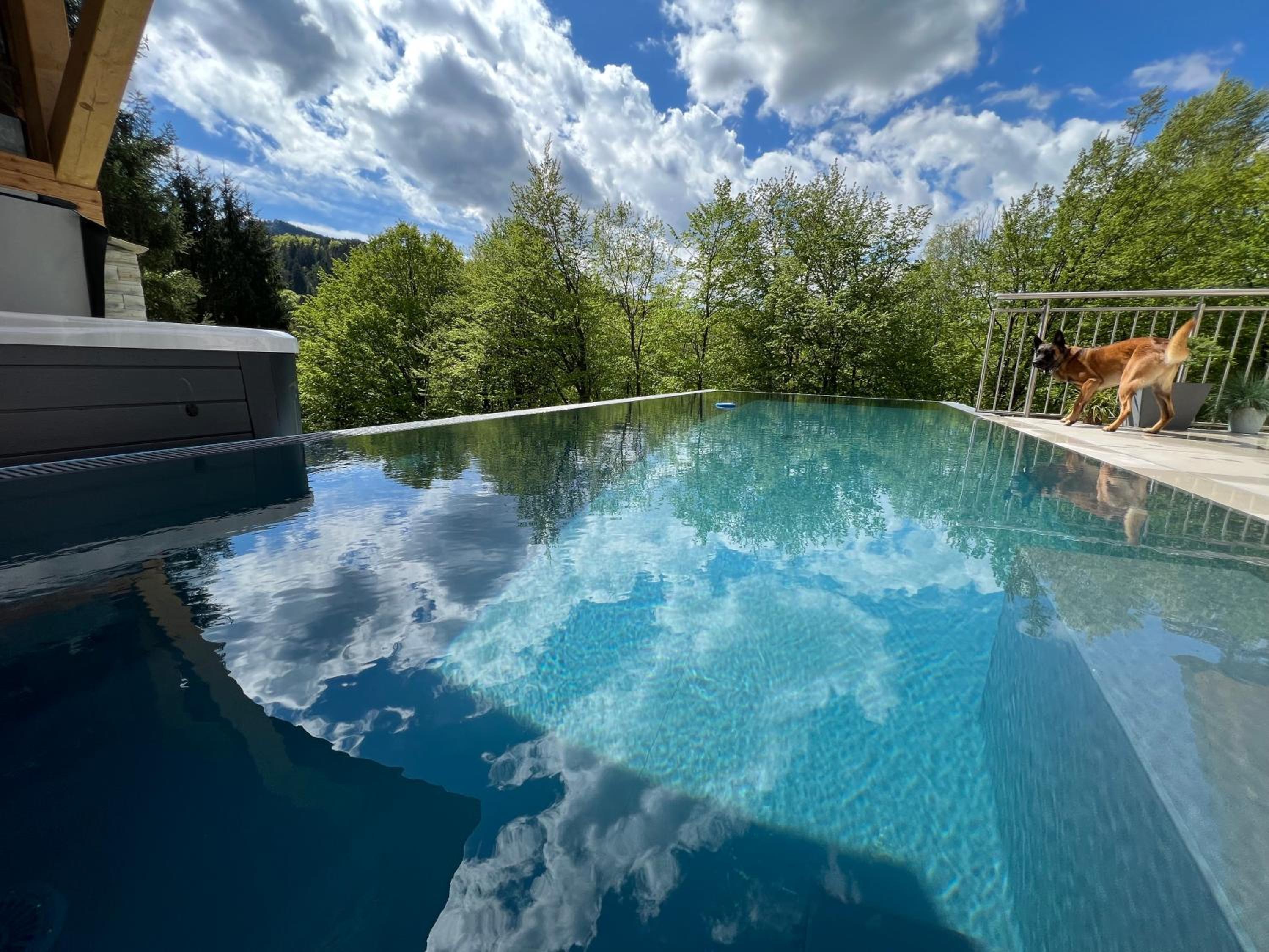 Ferienhaus auf 7 ha Alleinlage - Pool,Whirlpool, Sauna - Das Refugium Südsteiermark