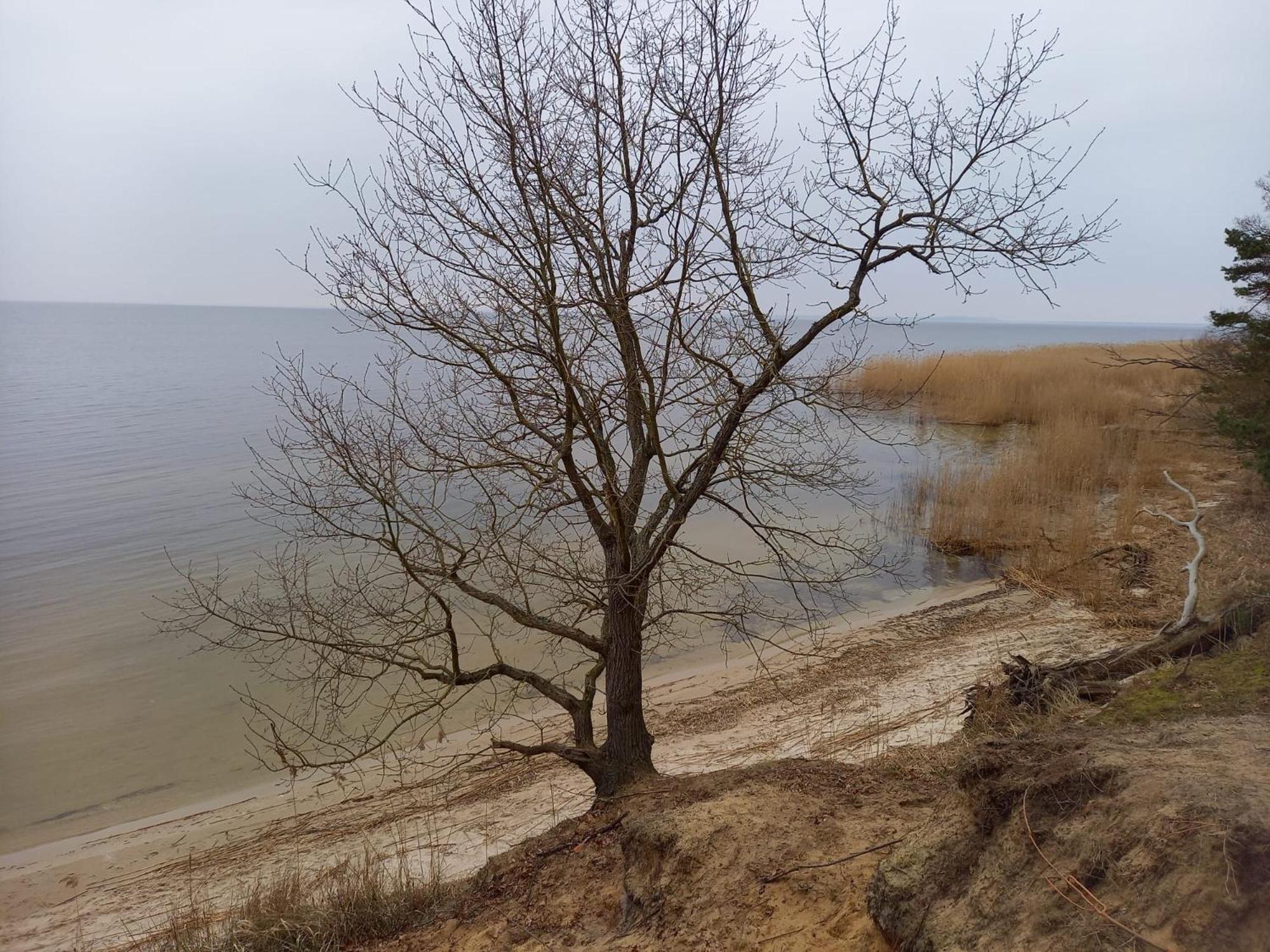 Ferienhaus unter den Eichen am Stettiner Haff