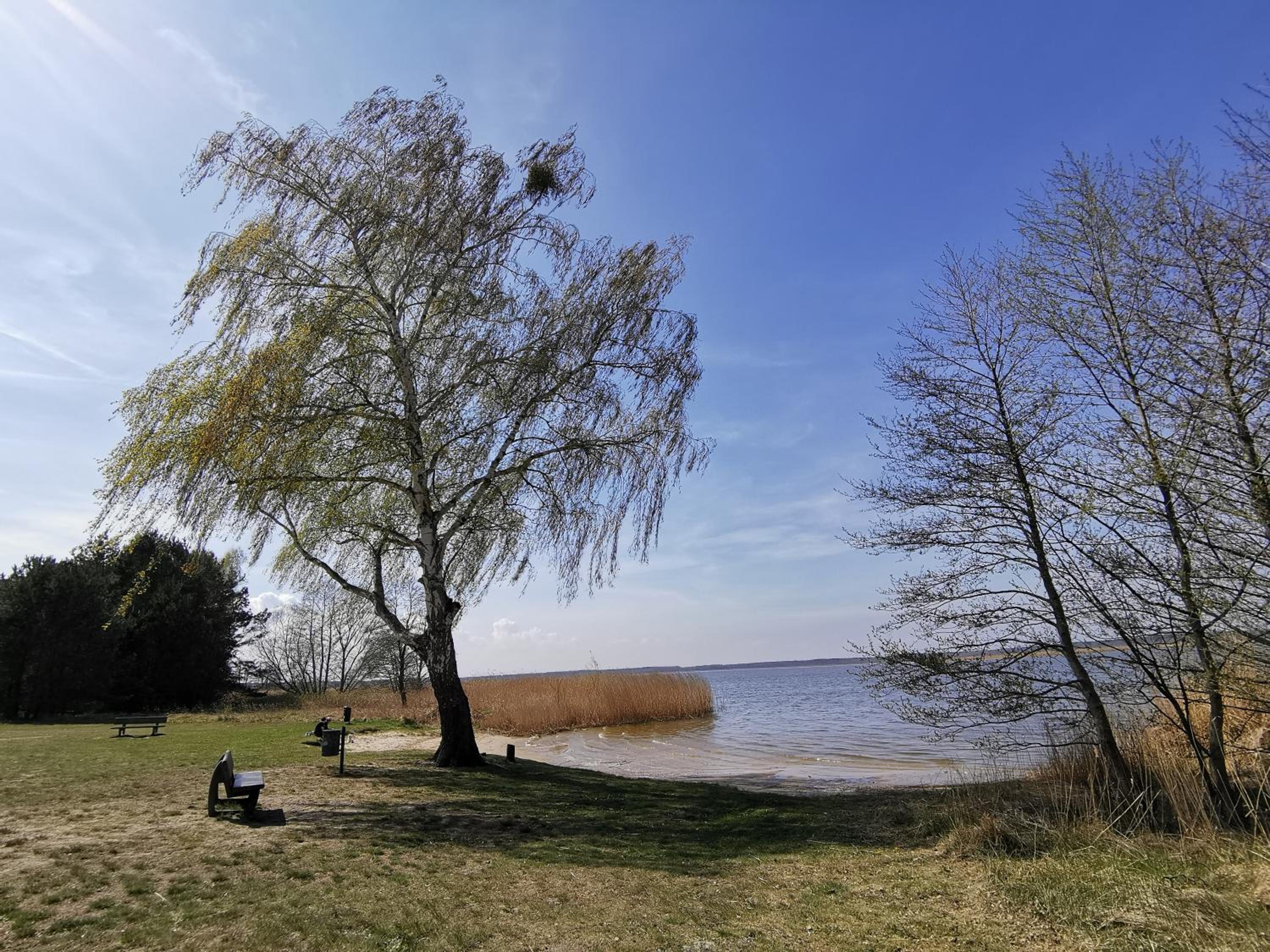 Ferienhaus unter den Eichen am Stettiner Haff