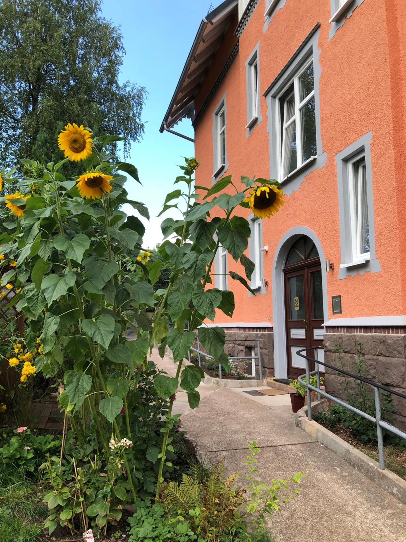 Moderne Ferienwohnung in alter Villa