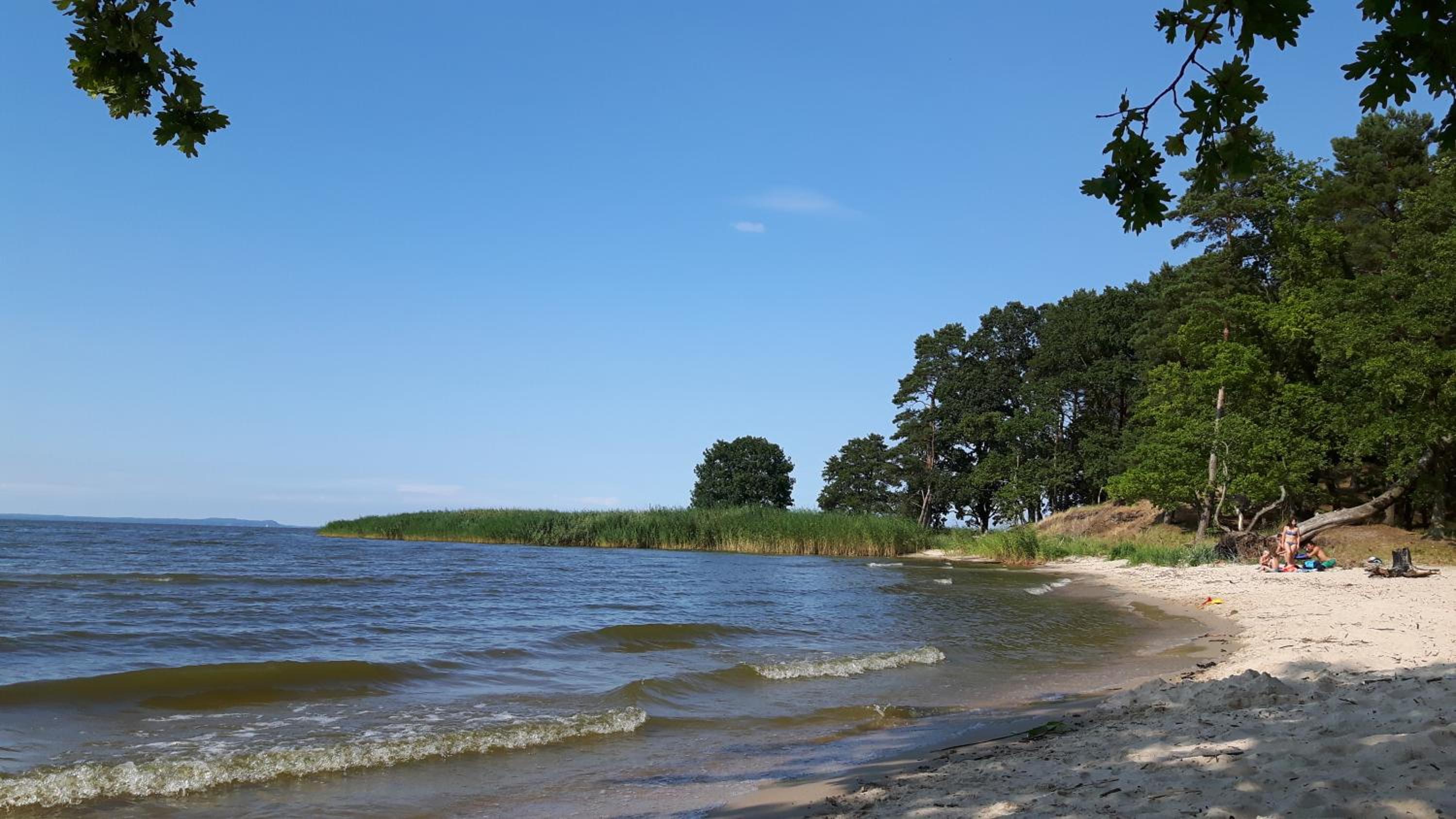 Ferienhaus unter den Eichen am Stettiner Haff