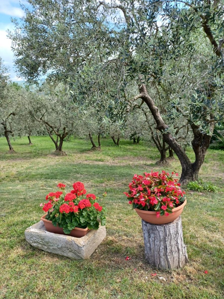 Casa Damiano view 3