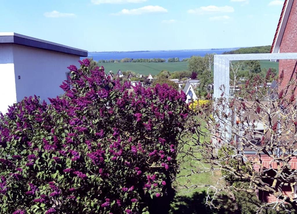 Ferienhaus in der Hansestadt mit Blick auf Ostsee
