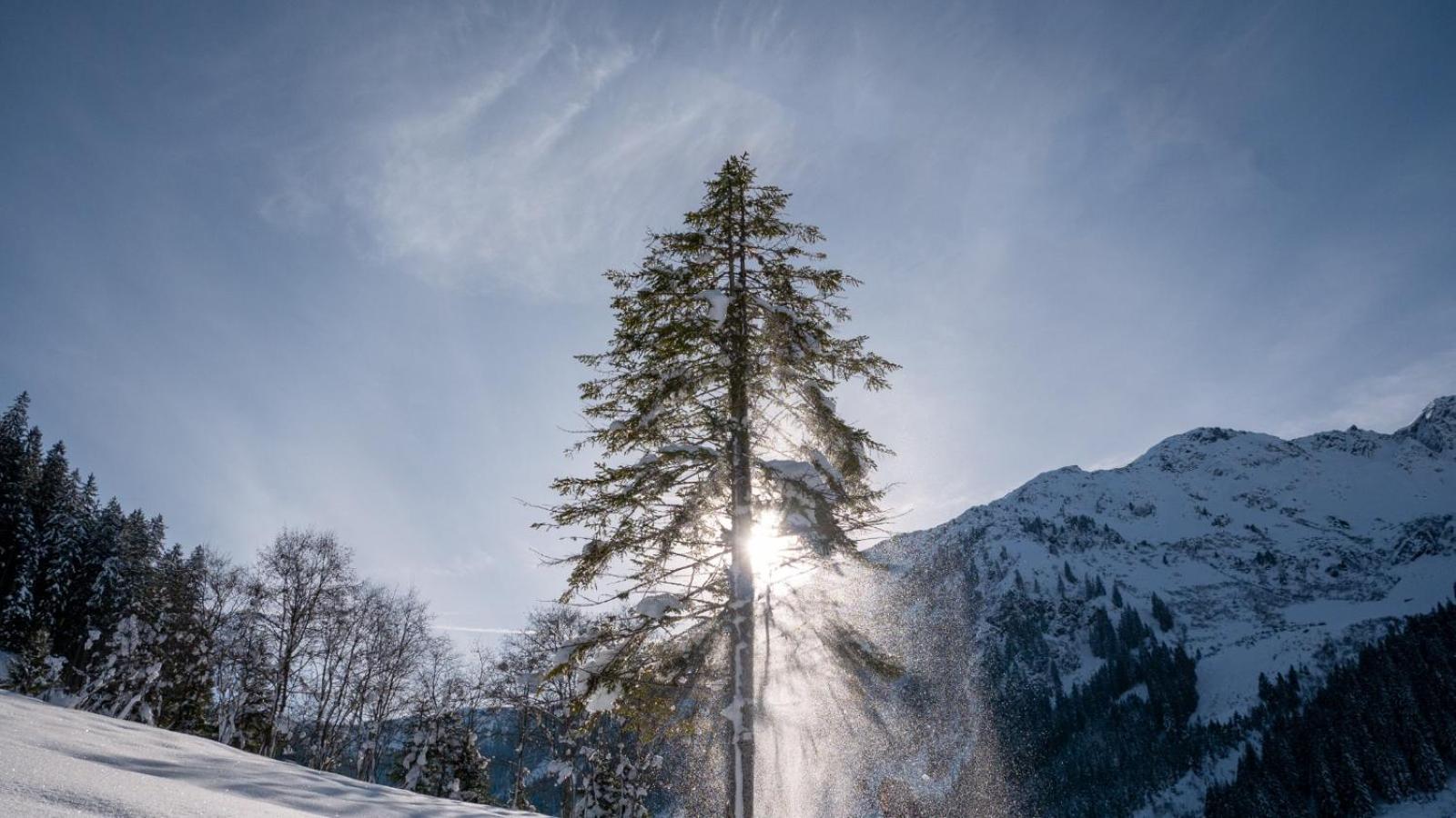 Silber Lodge im Wiesenstein