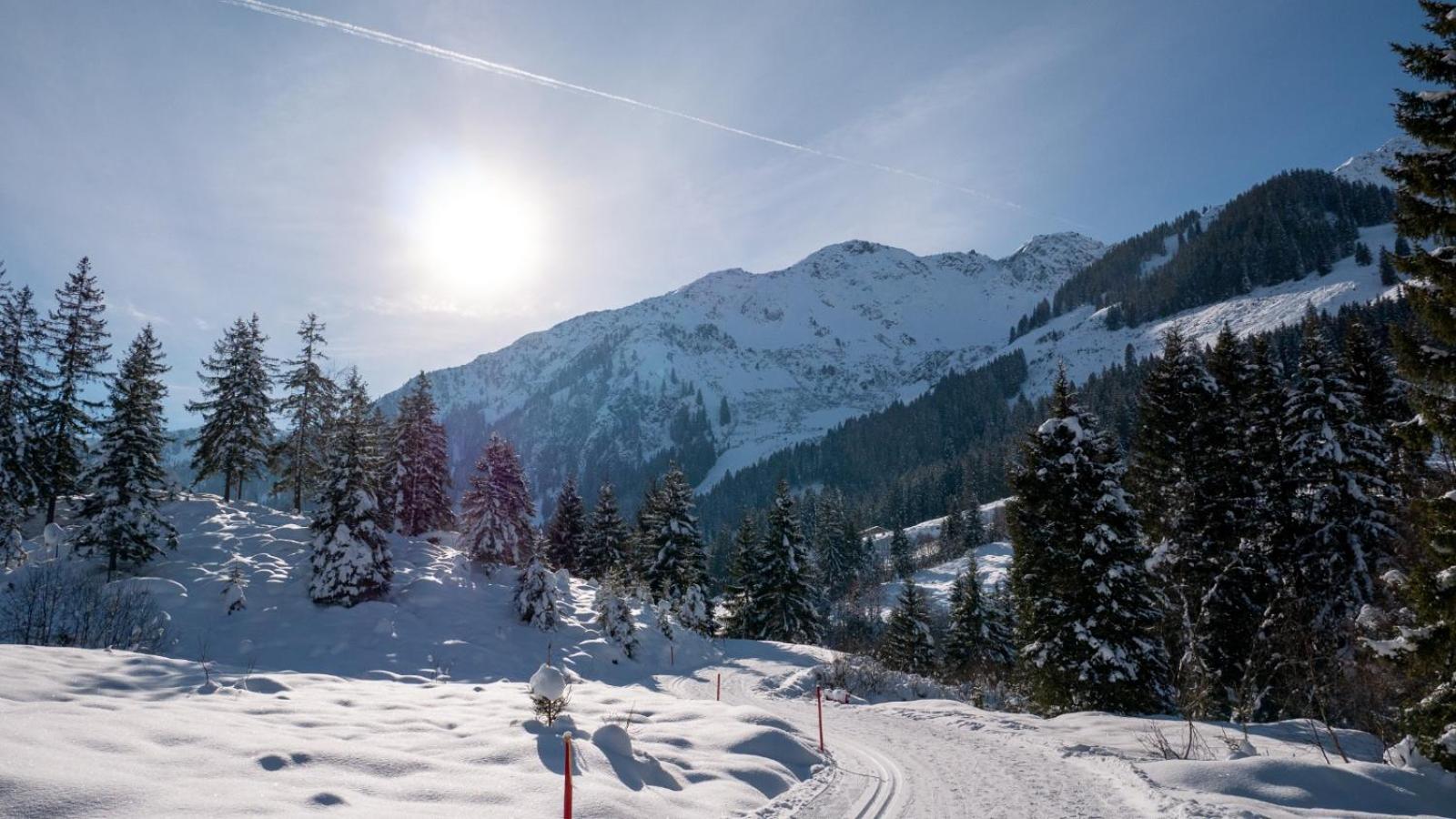 Silber Lodge im Wiesenstein