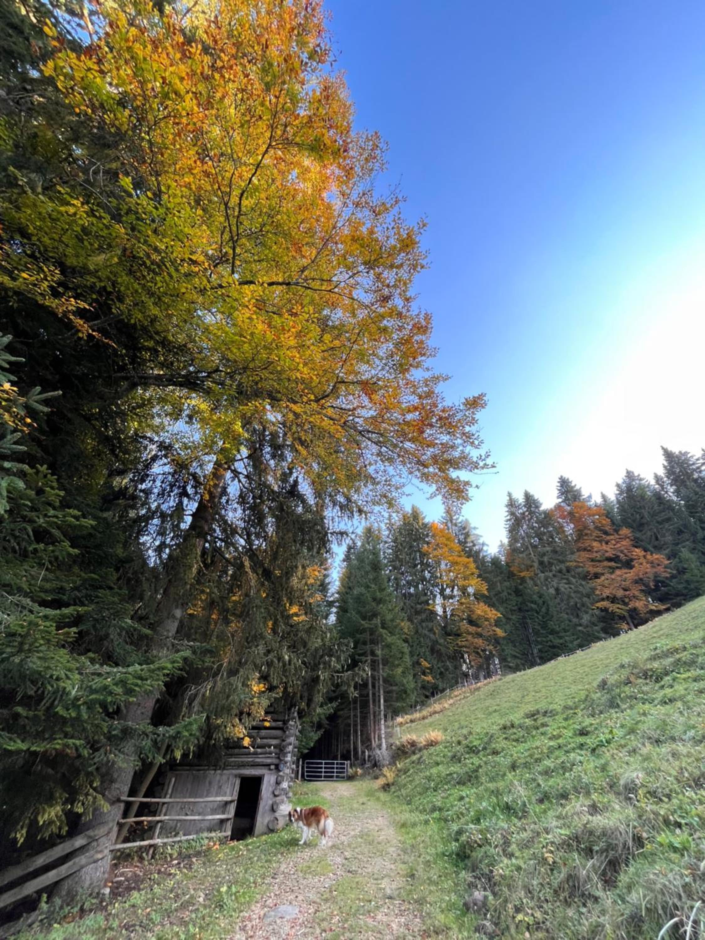 Silber Lodge im Wiesenstein
