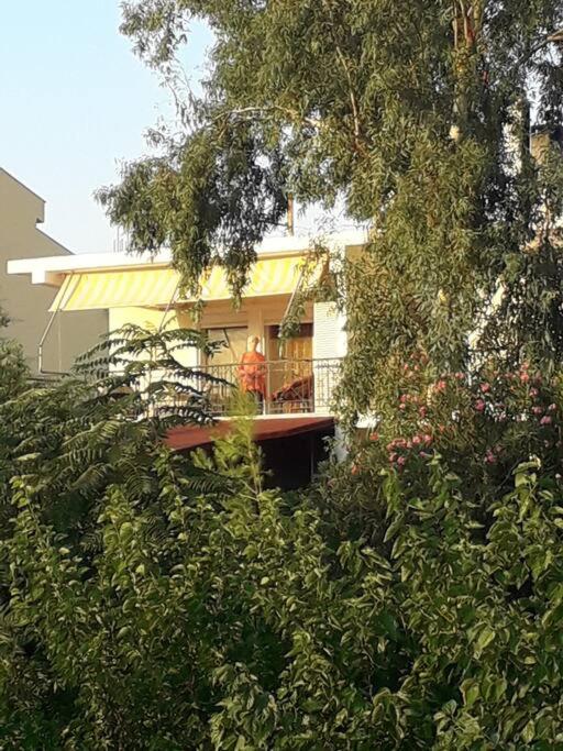 George Geust House view 2
