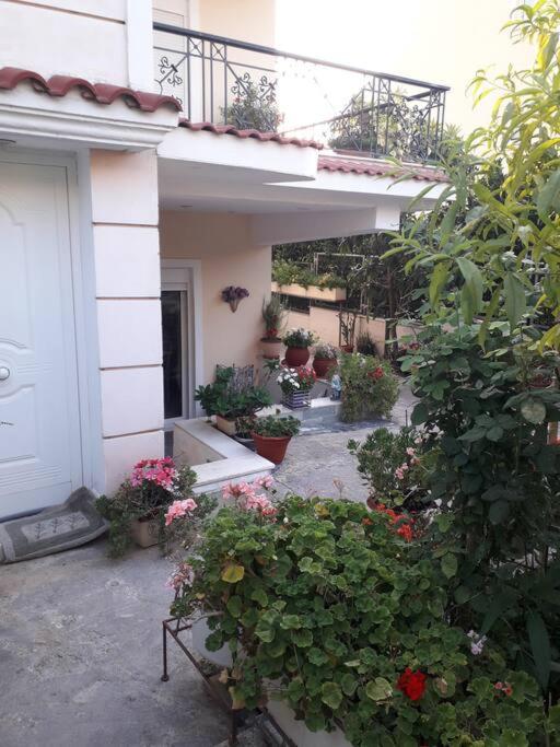 George Geust House view 4