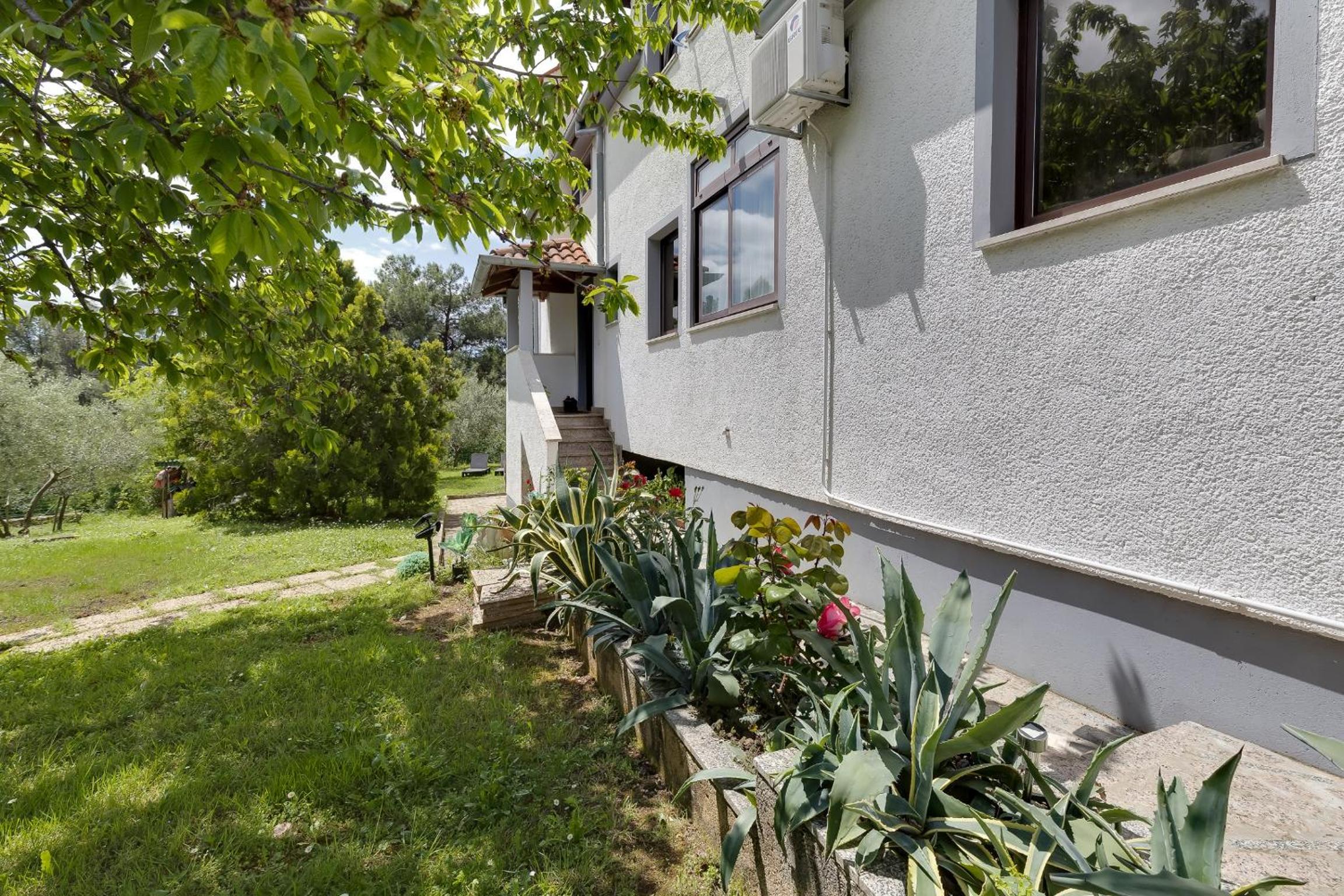 Apartments Dado - Property Image 14