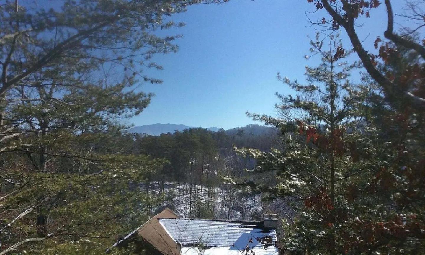Photo 19