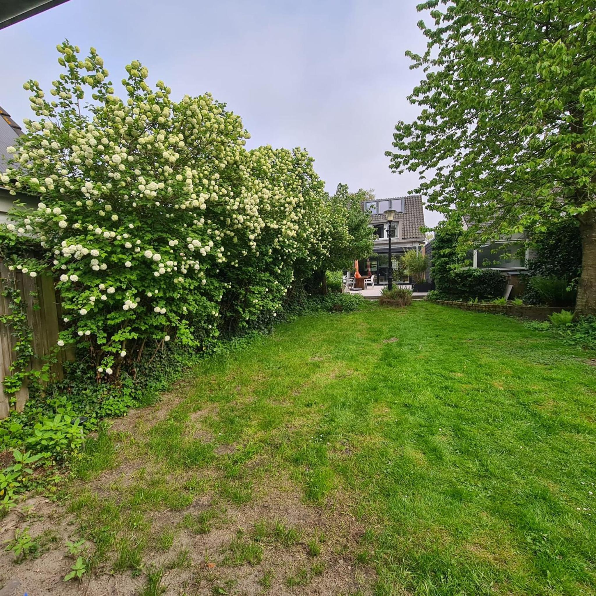 Tiny house Wassenaar