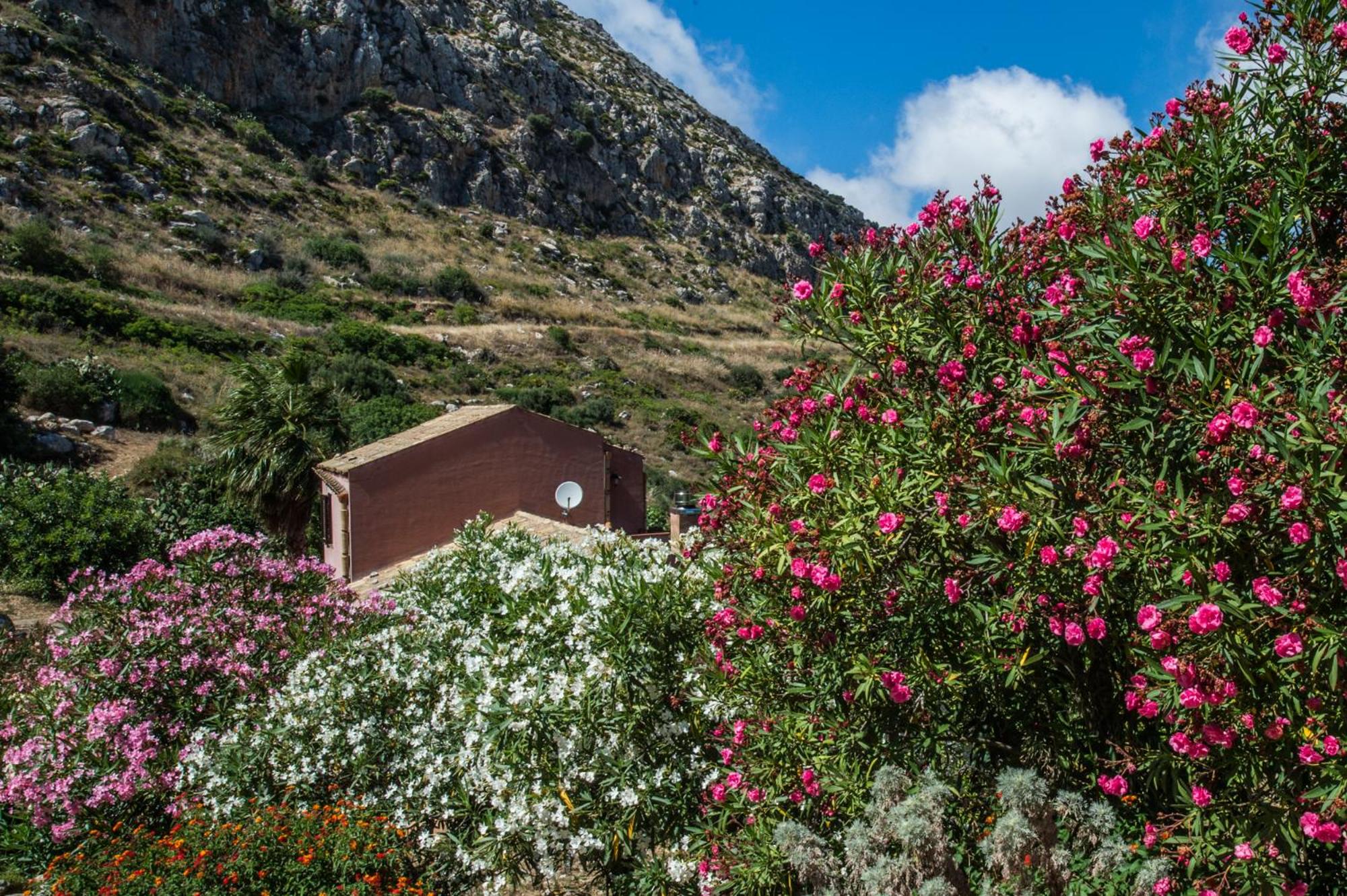 Marotta Chalet