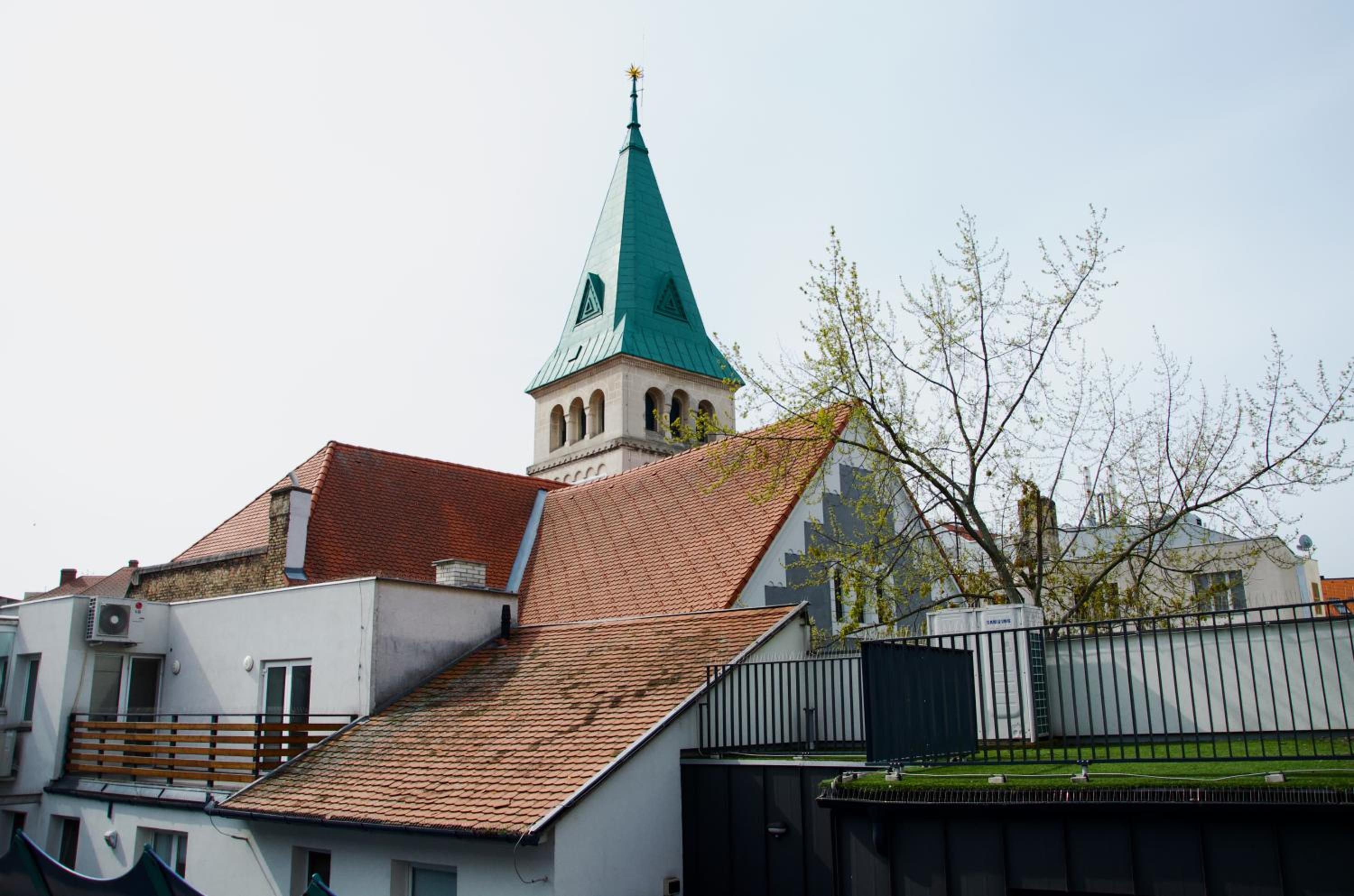 Photo 6