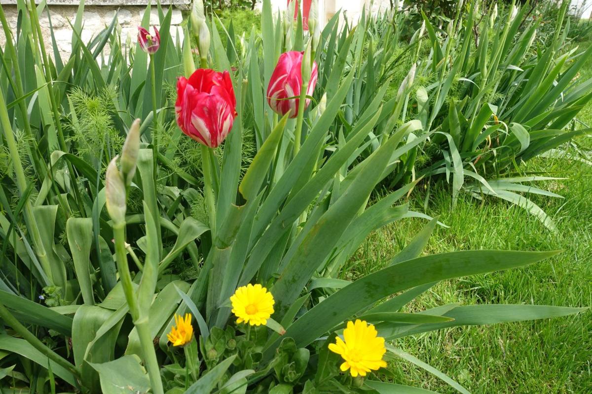 Photo 19