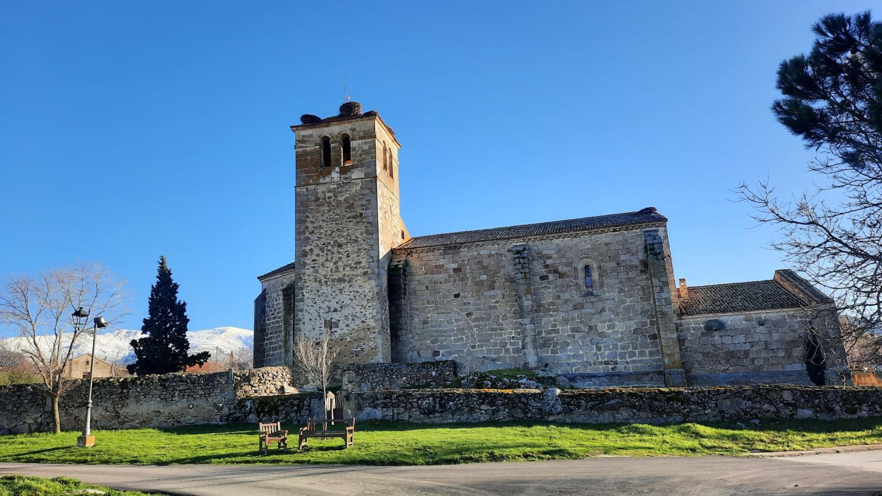 Aurea