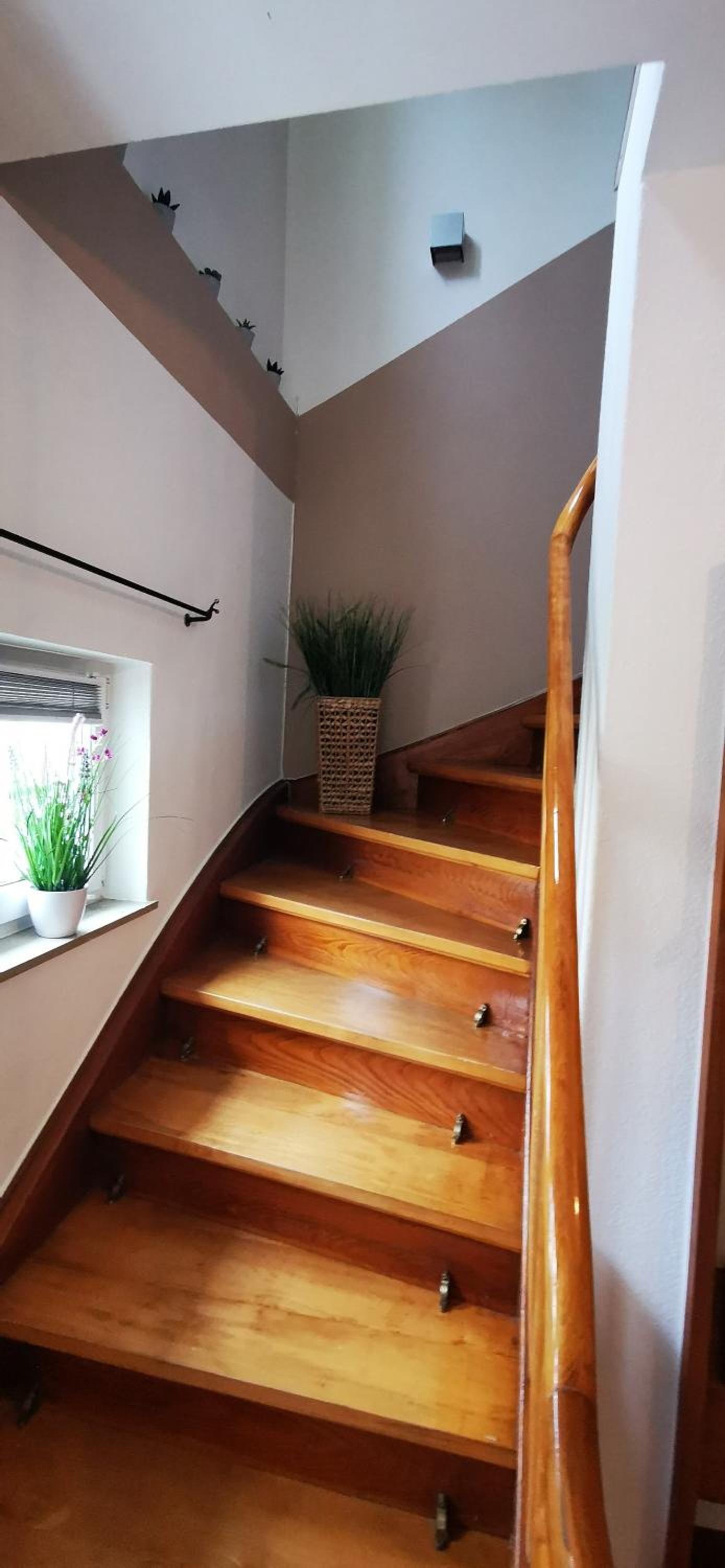 Ferienwohnung Palmenwald