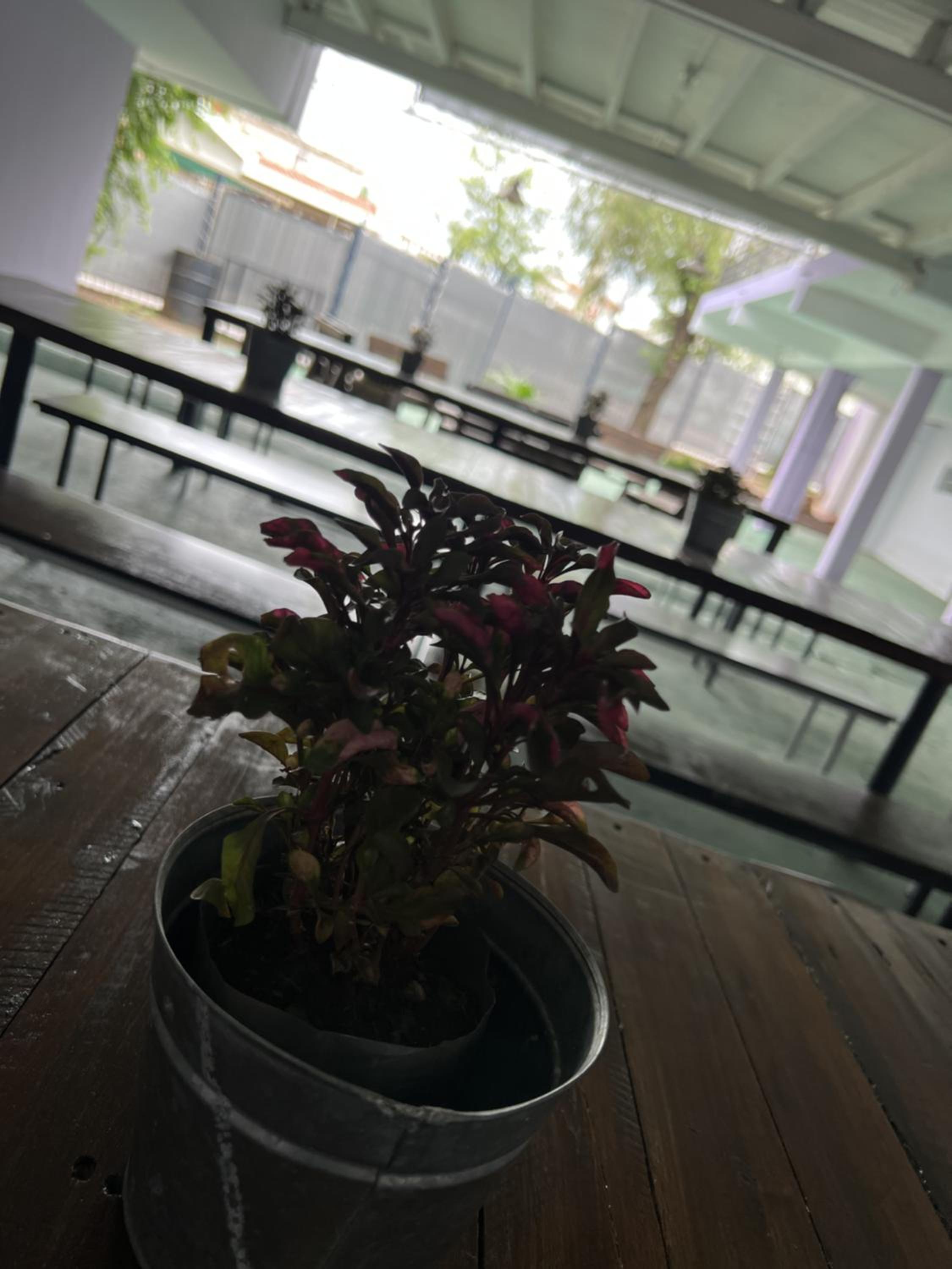 Wynwood Extreme Hostel