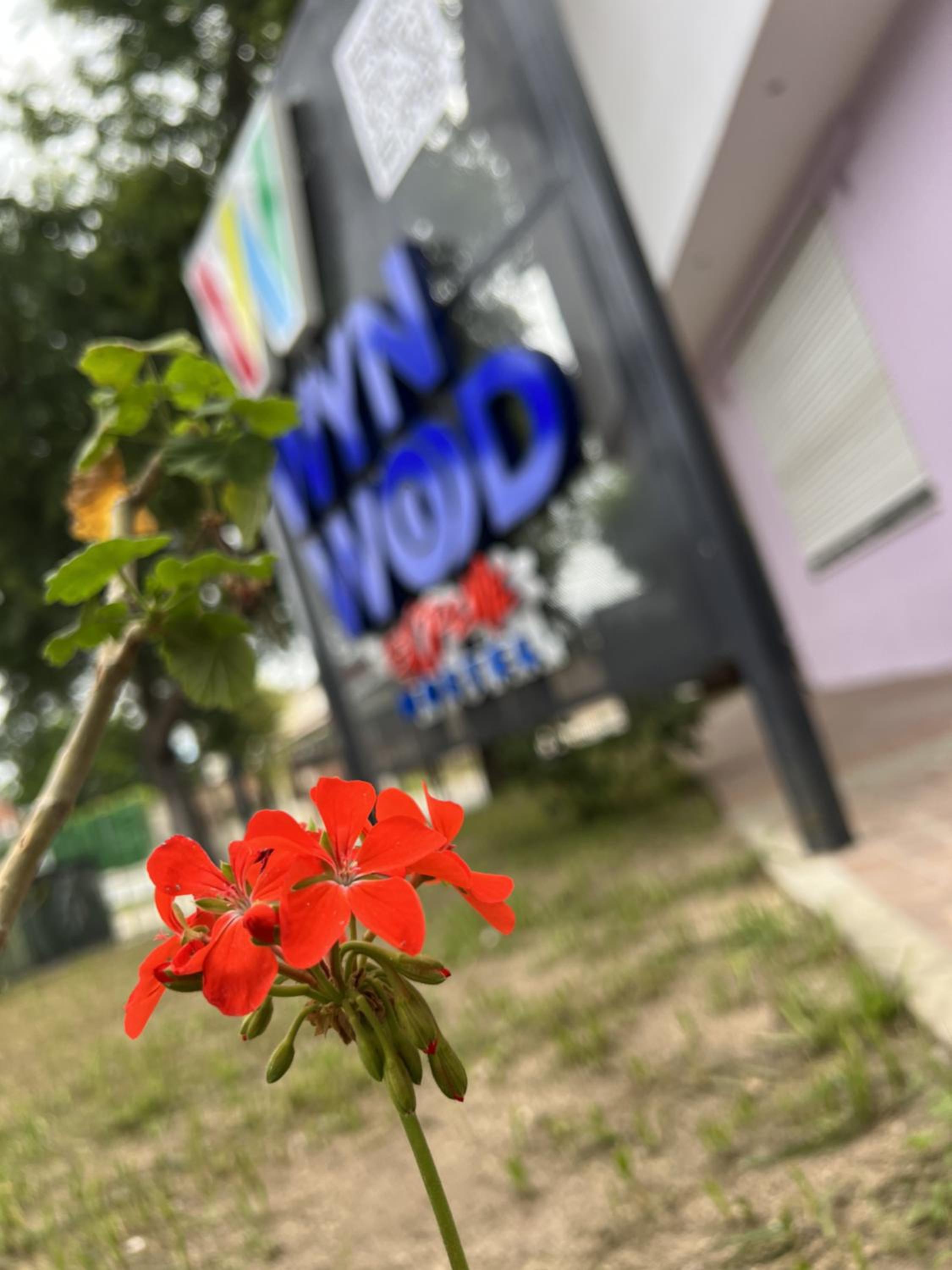 Wynwood Extreme Hostel