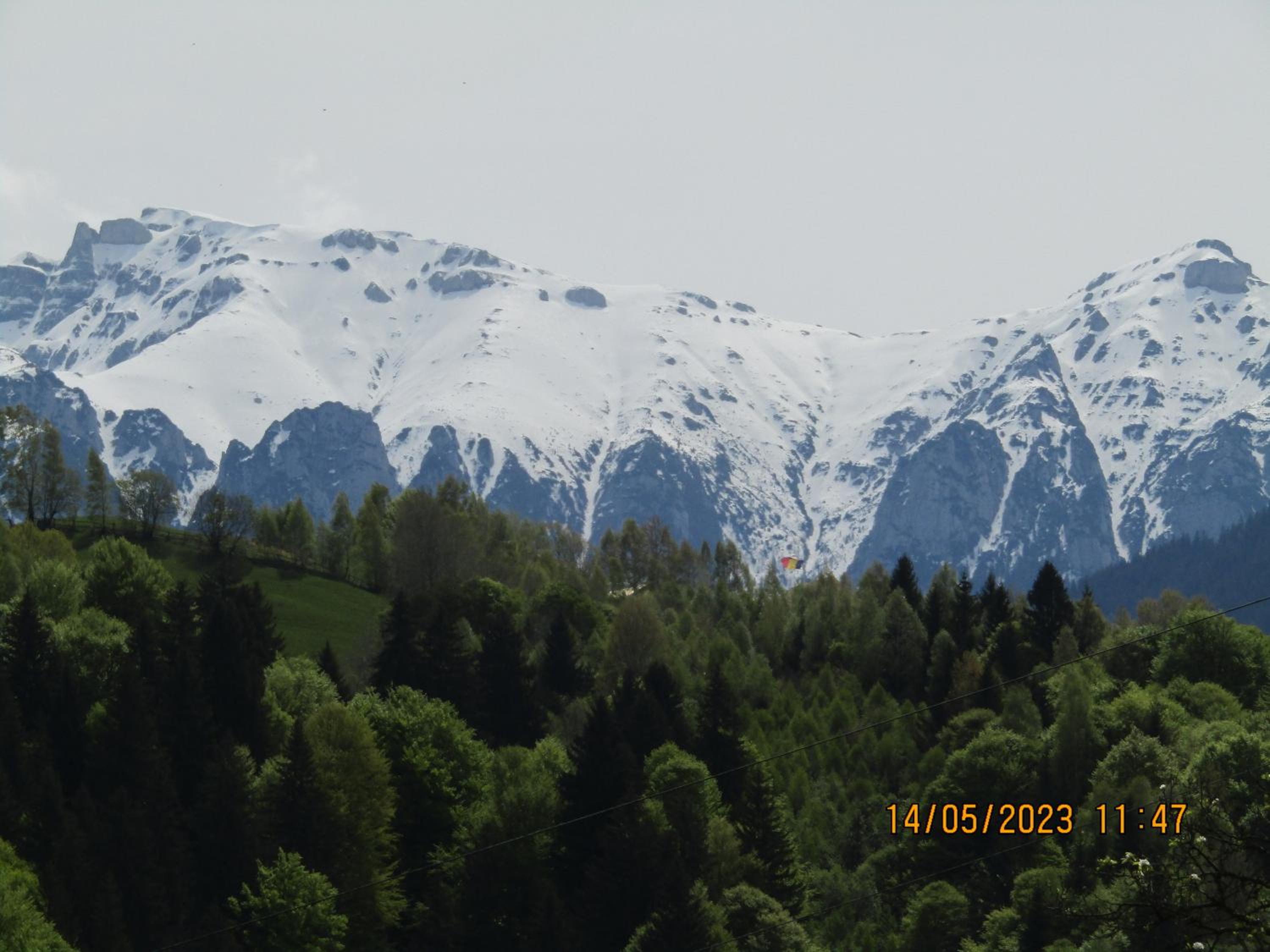 Photo 36