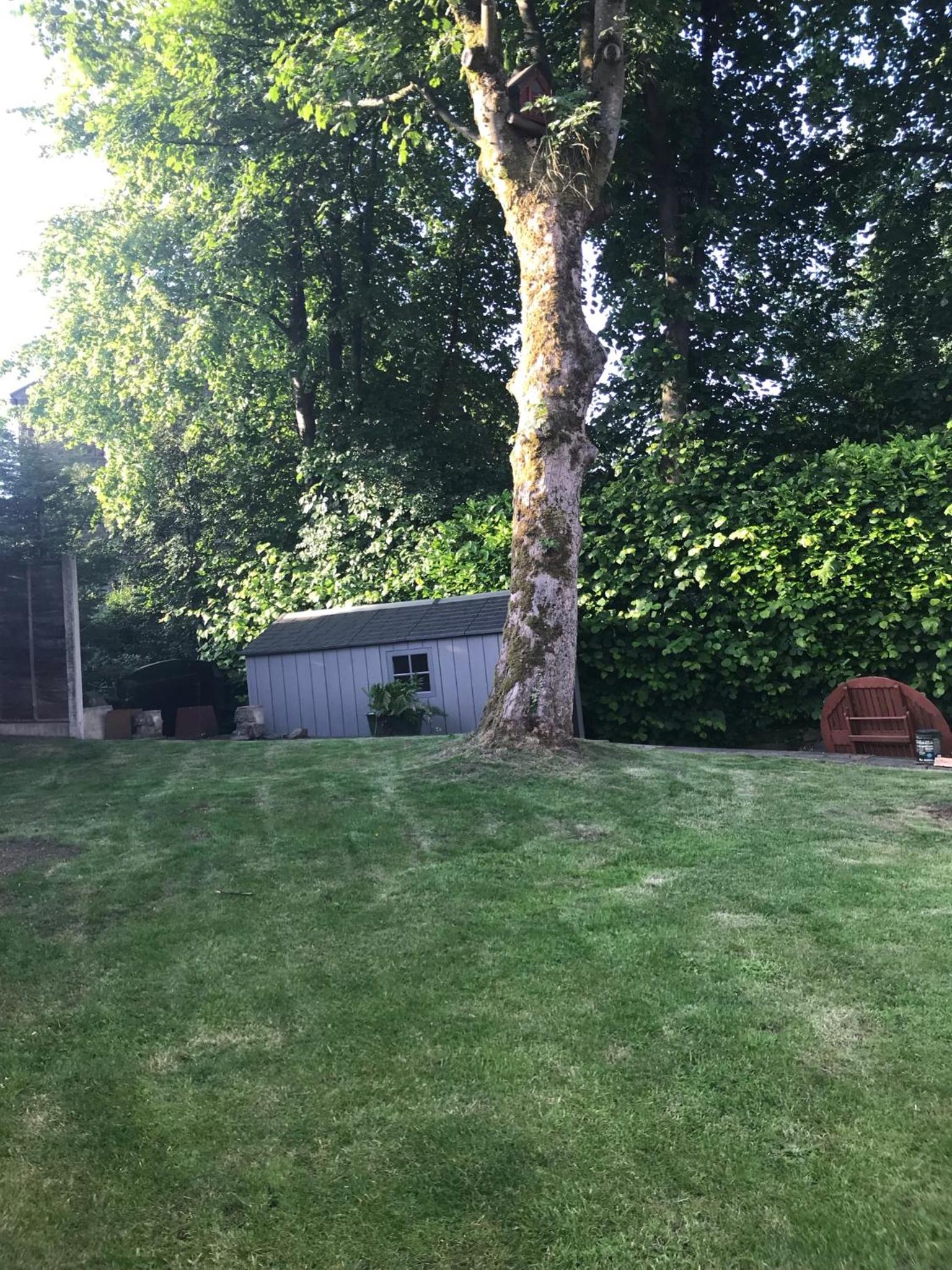 Photo 32