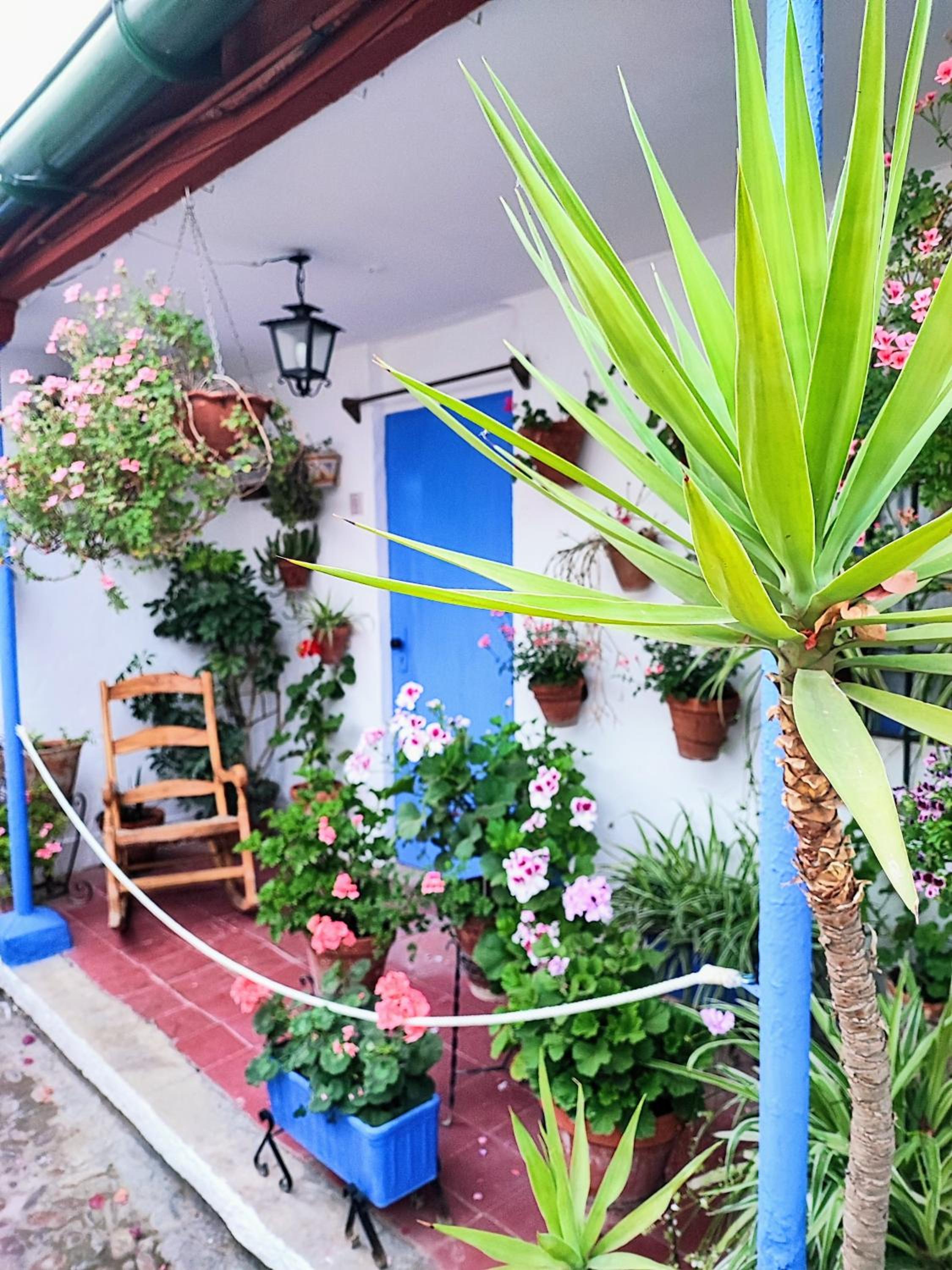 Apartamento Alcázar San Basilio