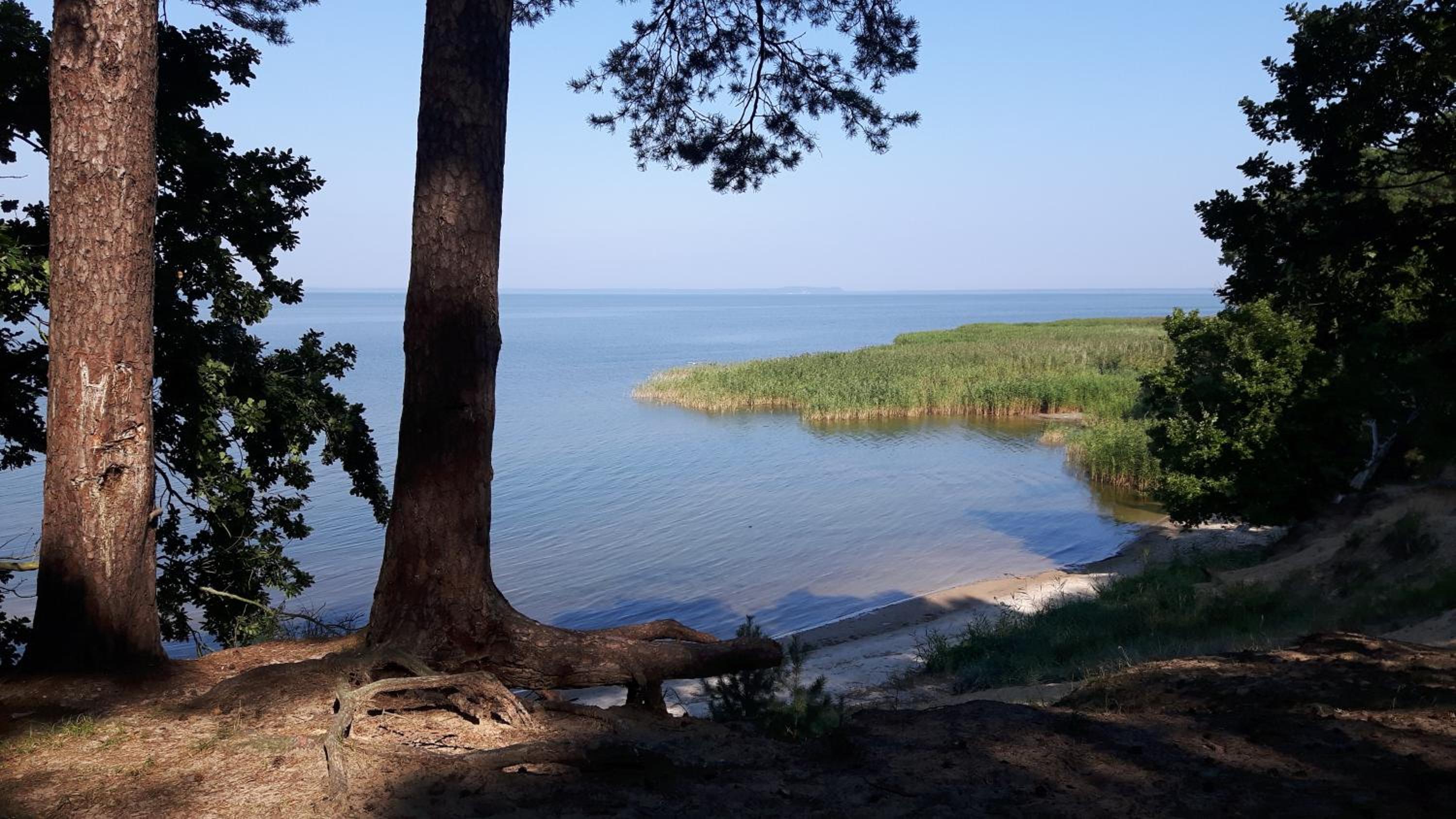 Ferienhaus unter den Eichen am Stettiner Haff