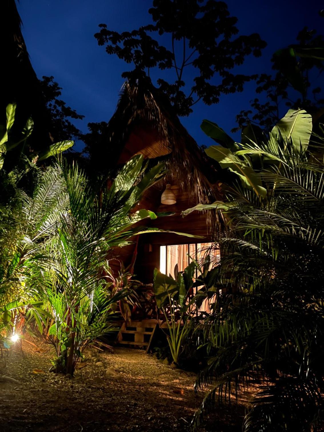 Buena Onda Bungalows