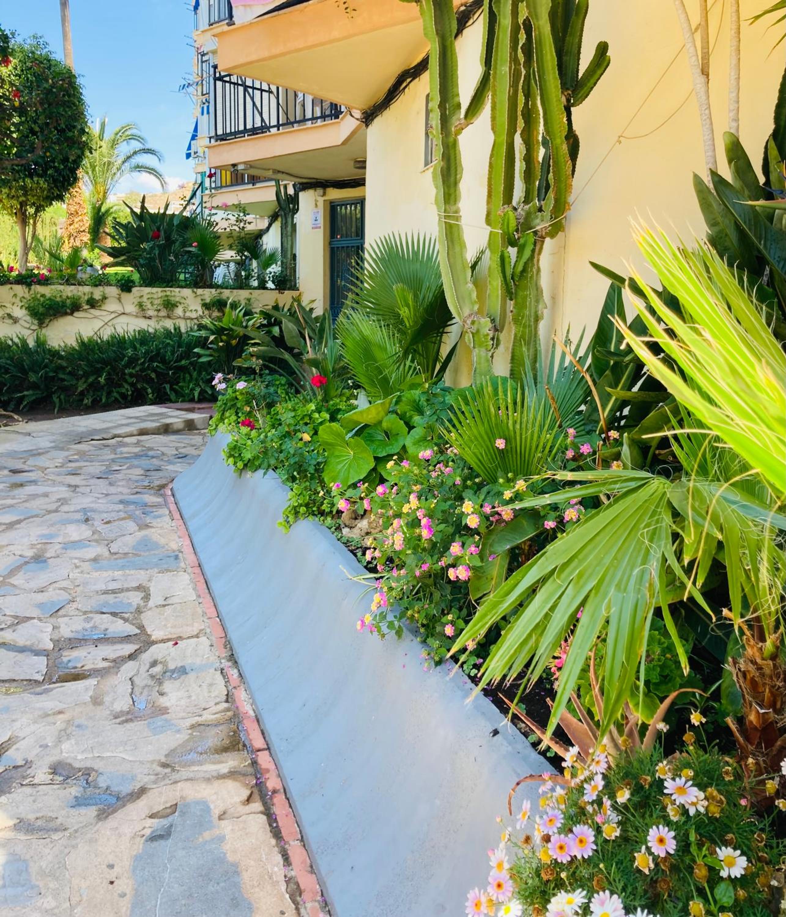 Apartamento La Quinta