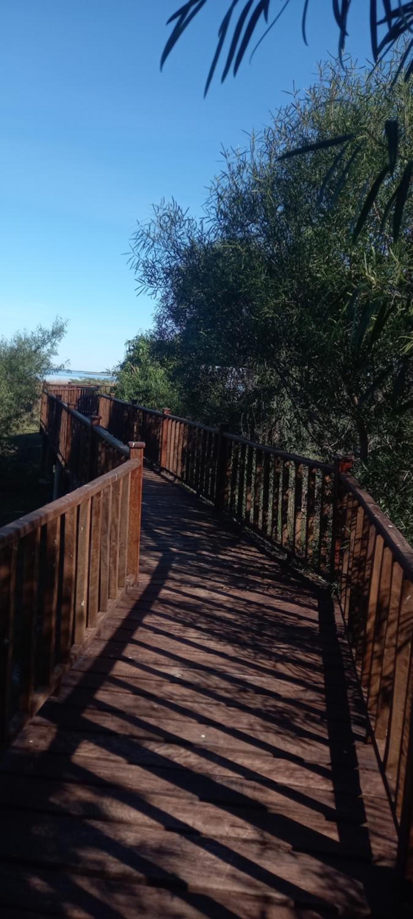 Cabaña Mburucuya