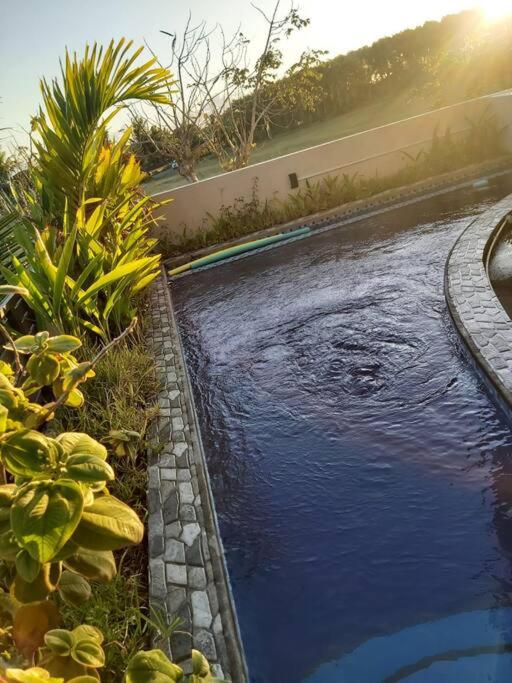 Serenity Cove - A Home Away From Home photo 5