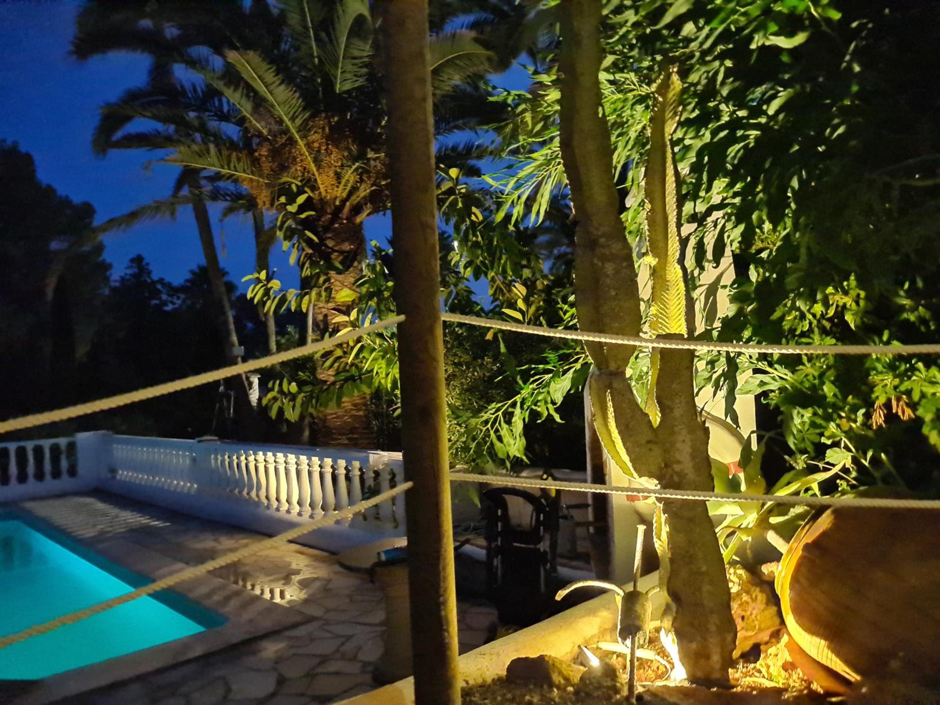 private Villa mit eigenem Pool unter Palmen