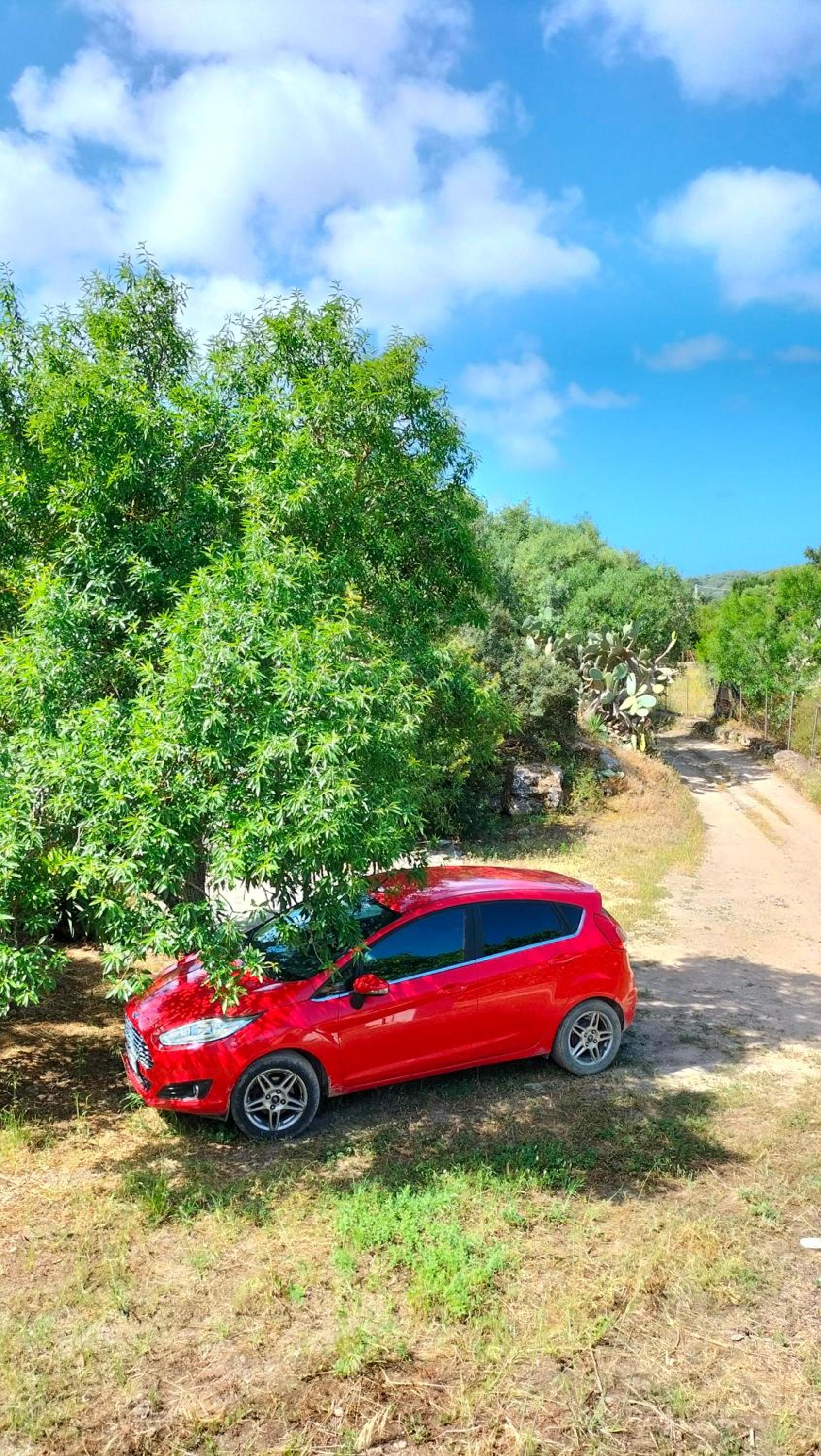 parking