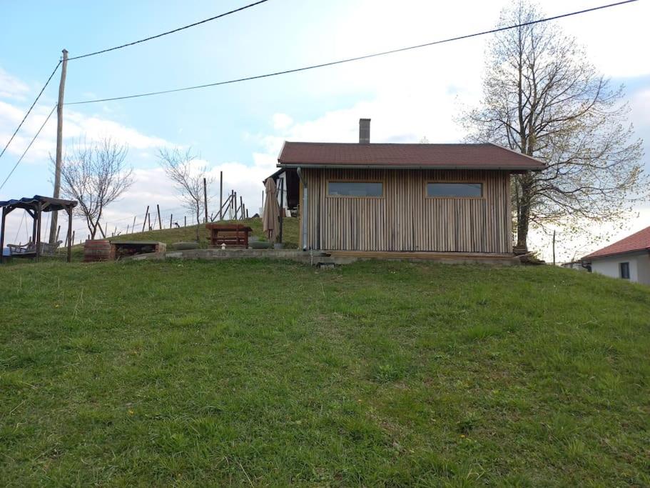 Bellevue mini House