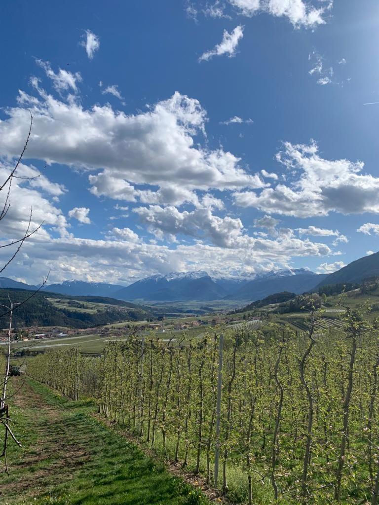 Agritur Maso Forcola