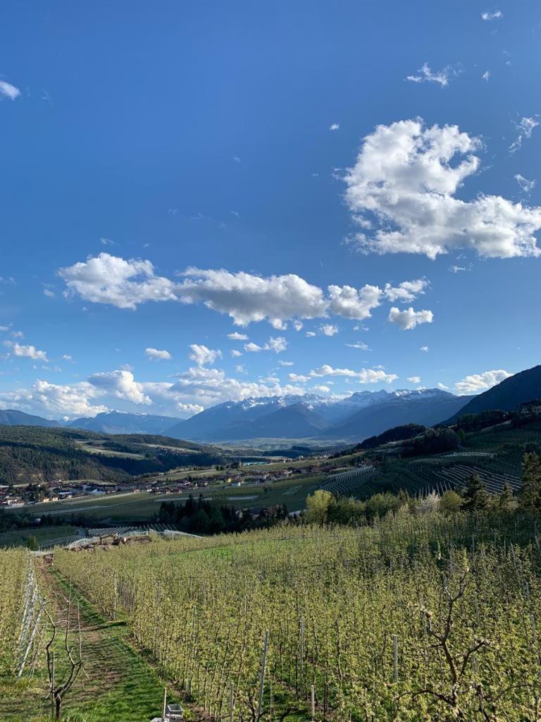 Agritur Maso Forcola