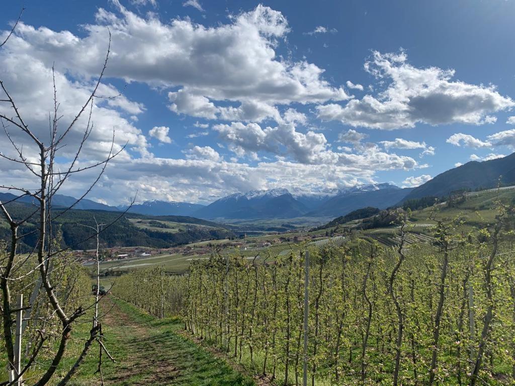 Agritur Maso Forcola