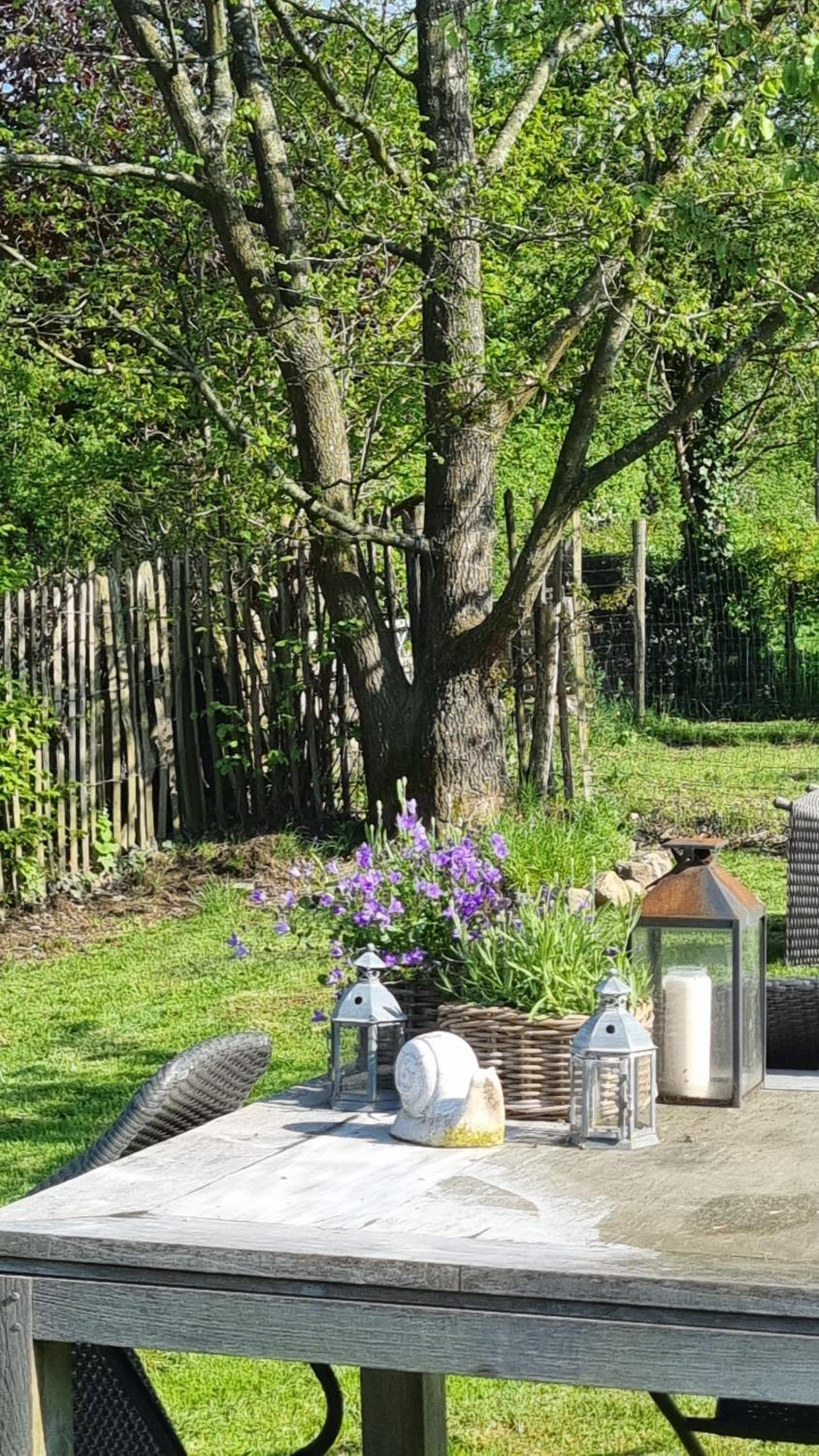 PINE COTTAGE- 5 minutes Francorchamps - charme -piscine-calme-jardin