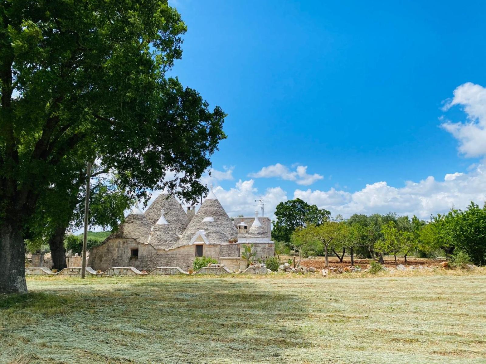 Trullo Foodie view 2