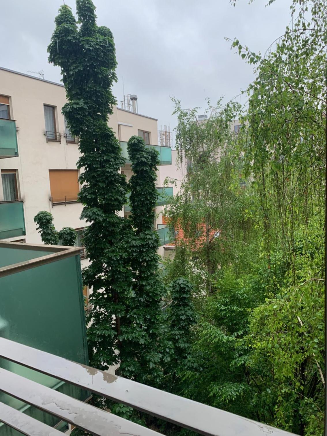 Corvin Fontana Apartment view 5
