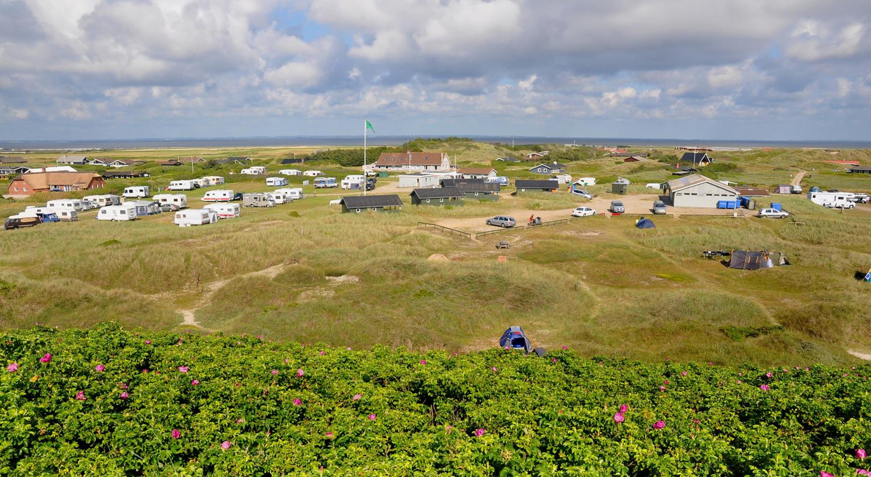 Dancamps Holmsland