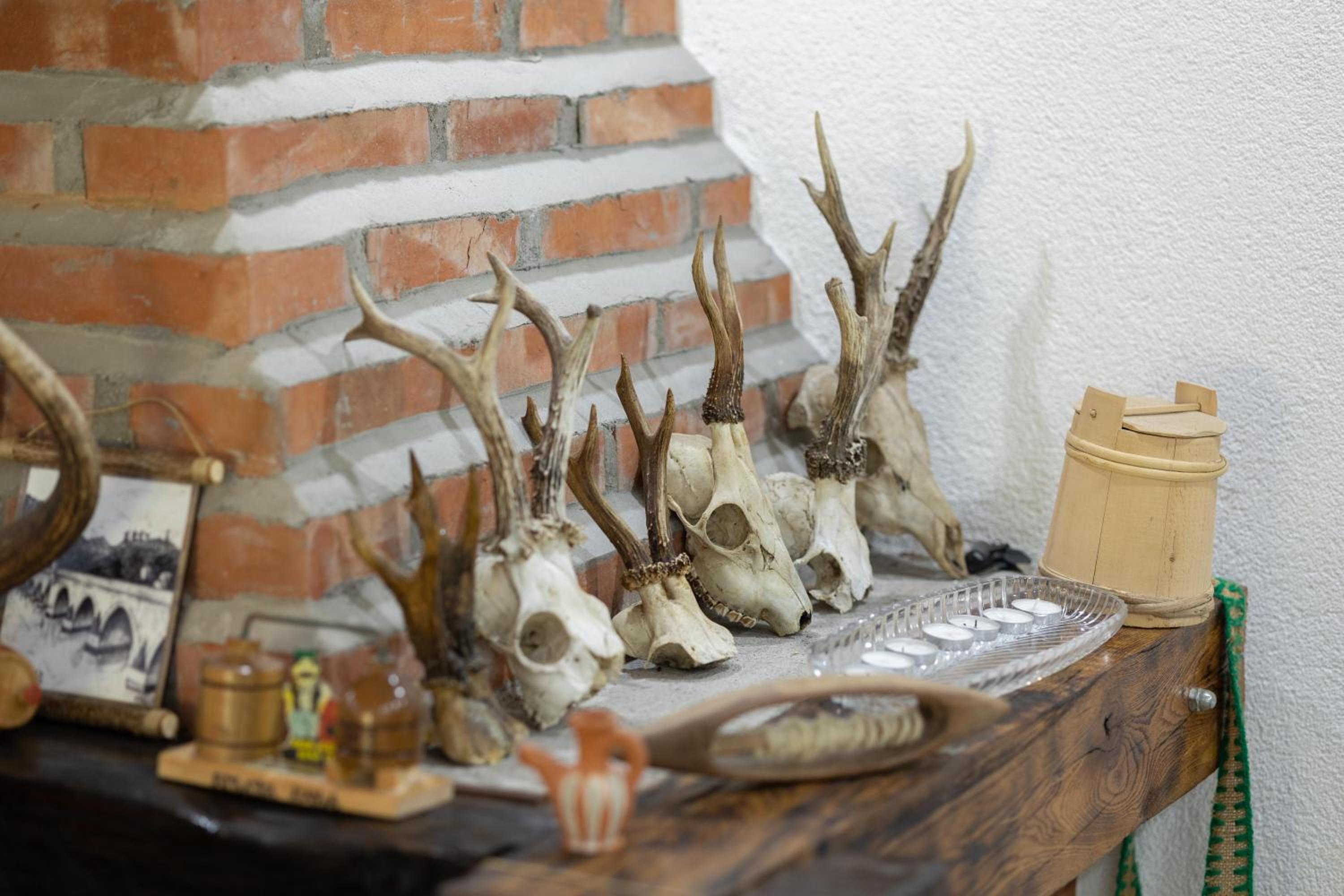 Photo 44