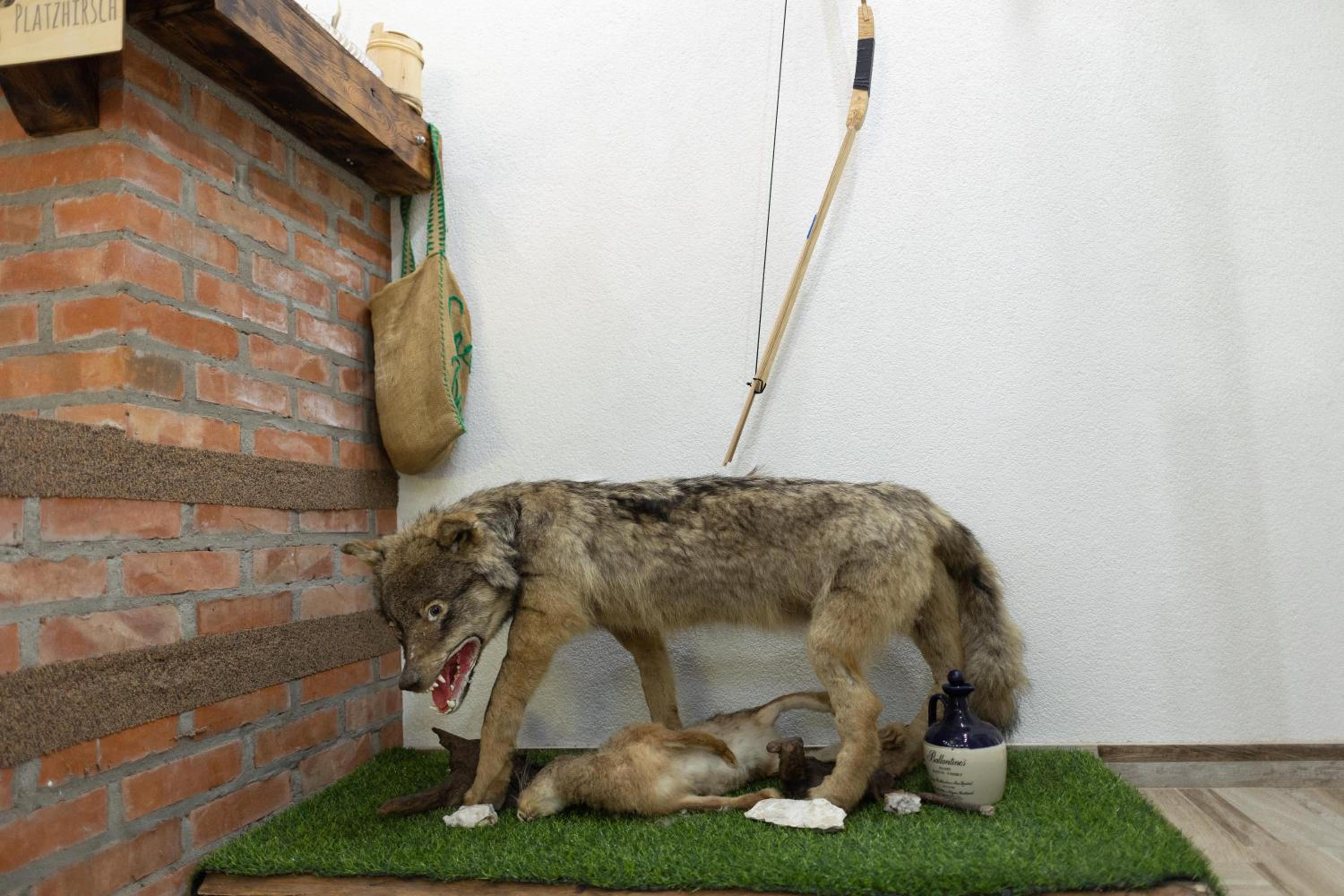 Photo 45