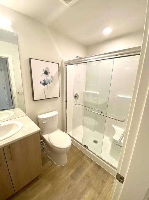 Lovely Brand New Suite