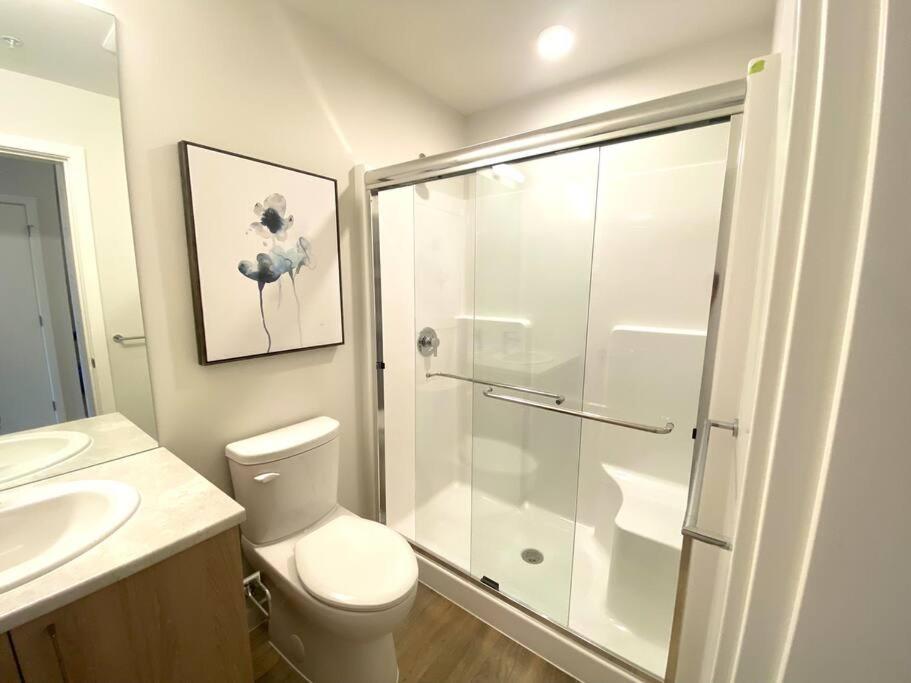 Lovely Brand New Suite