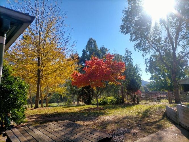 Riverbend Homestead