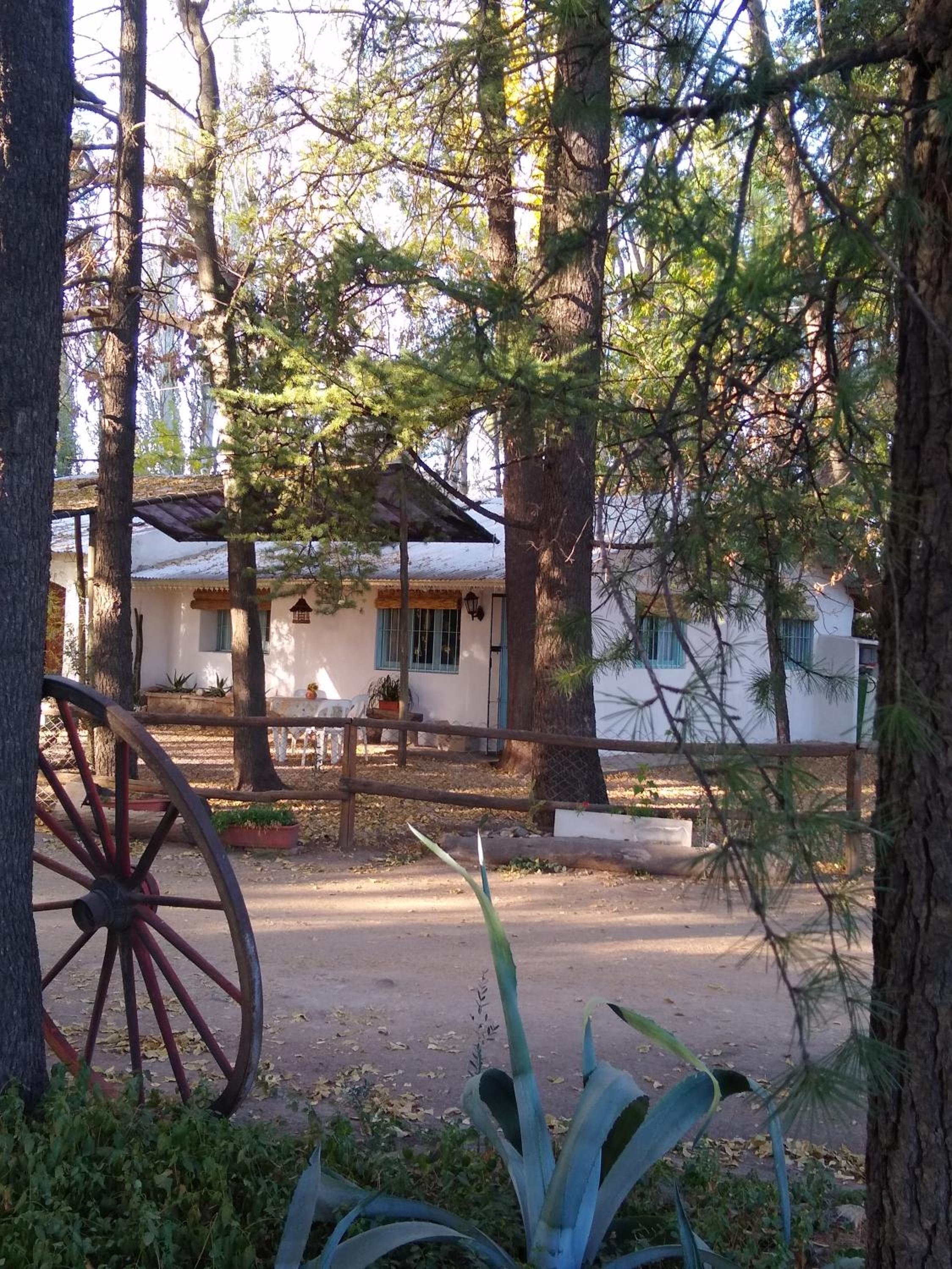 Chalet Los Troncos