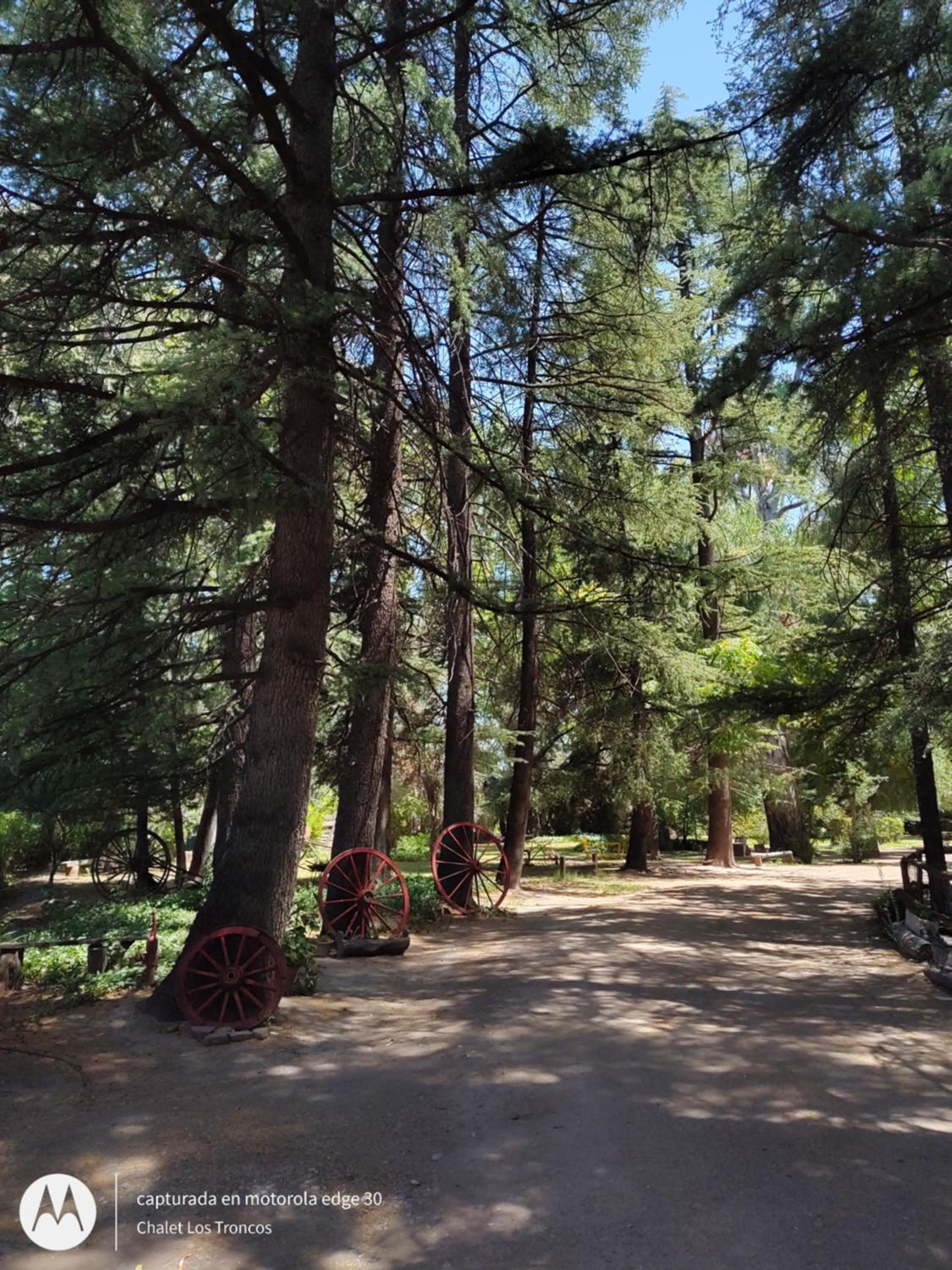 Chalet Los Troncos